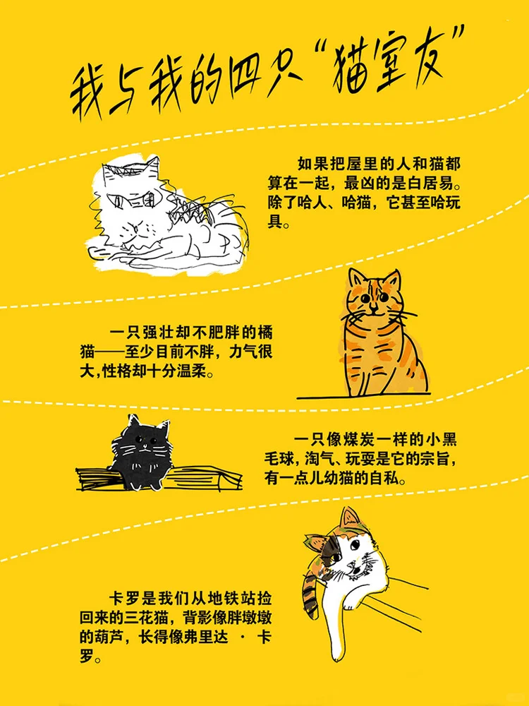 新书推荐｜救猫咪🐱，更是救自己～