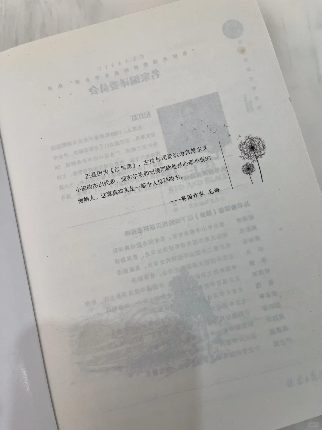 命运的挣扎与人性的洞察