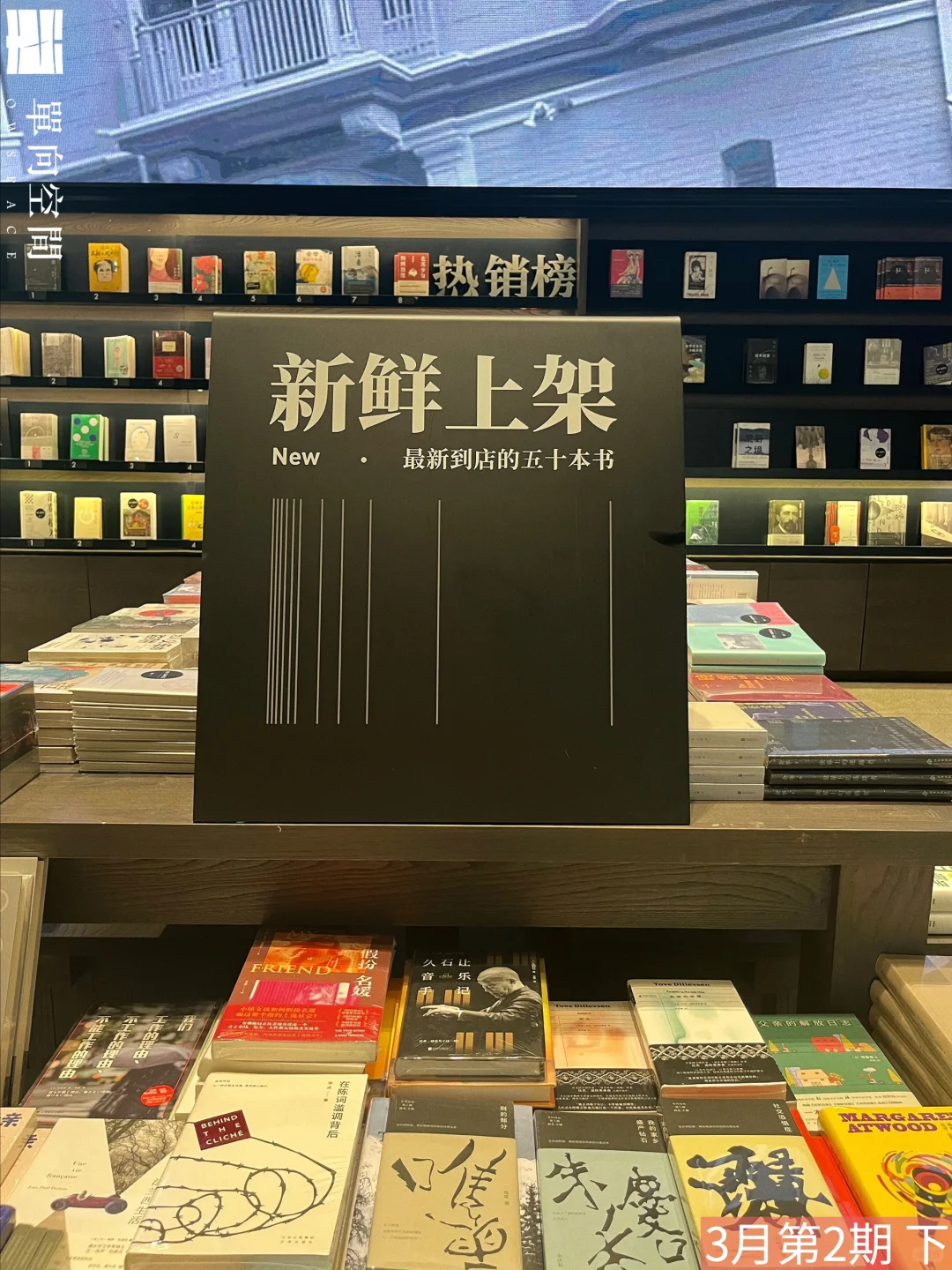 🌟新书推荐📚好书趁早读（3月第2期下）