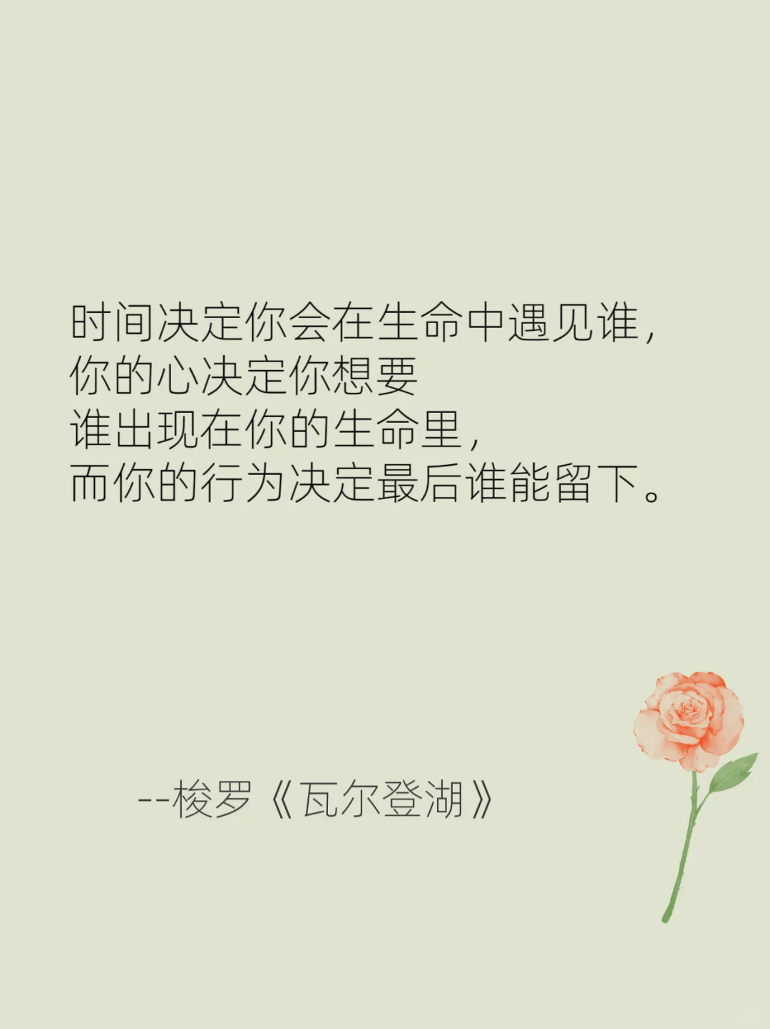 名著是如何“一句”封神的🌹