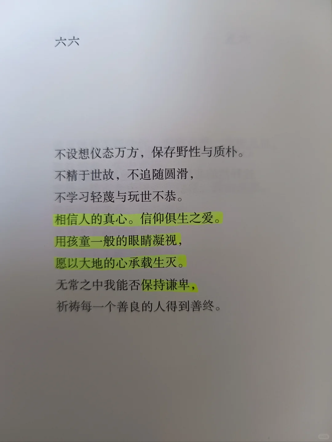 📖《寶鈴》|喜歡的作家出新書