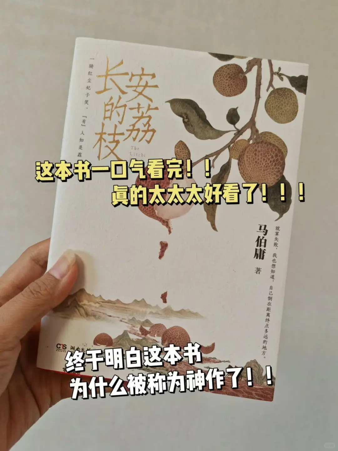 🔥马伯庸新书，10年打造的宝藏之作‼️