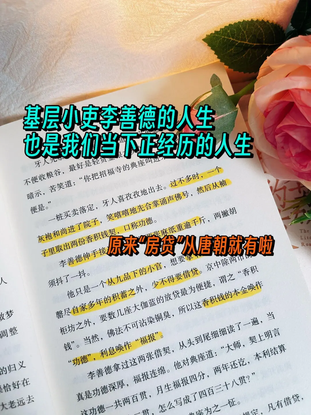 🔥马伯庸新书，小人物的生存之道，太上头