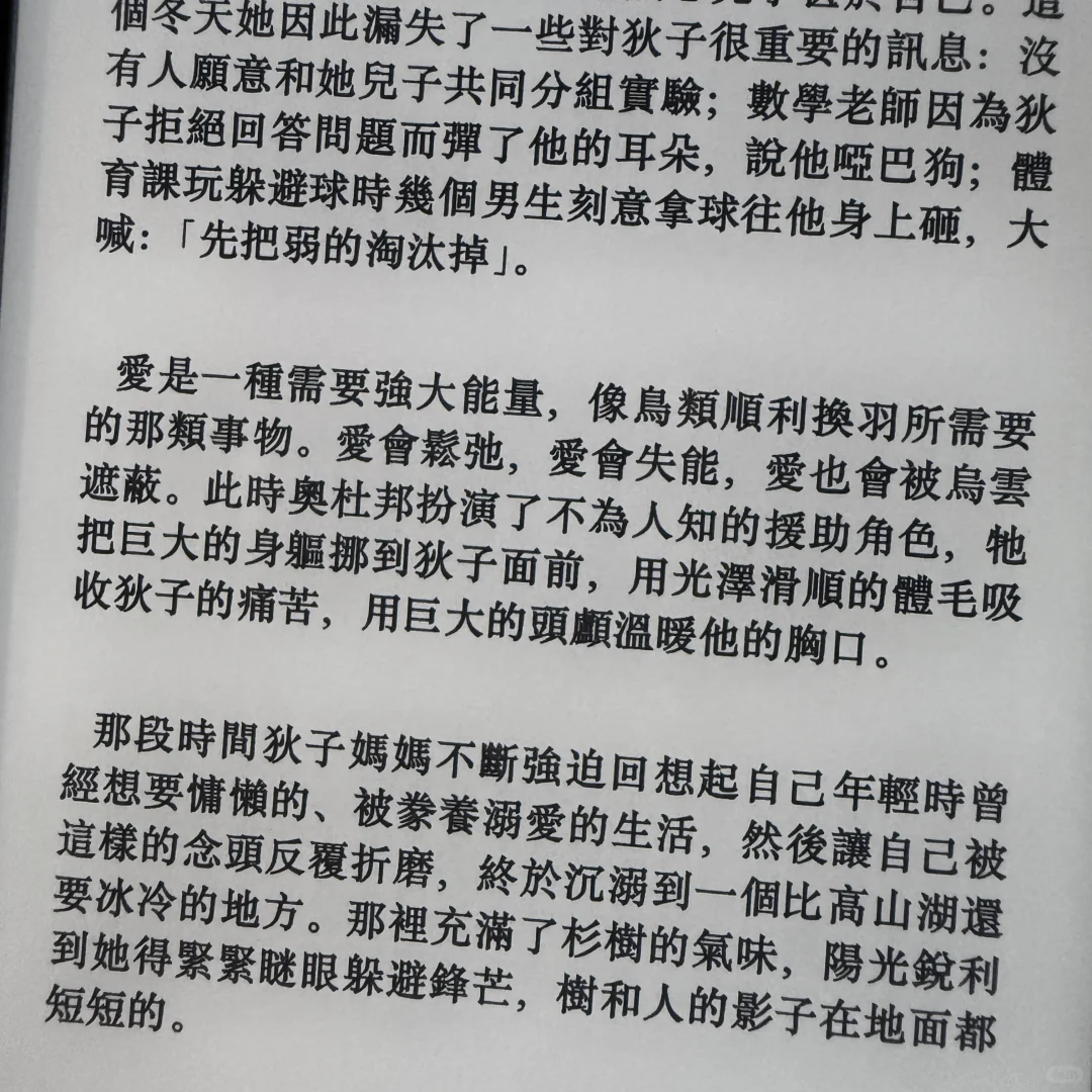 早知道早点用回kindle