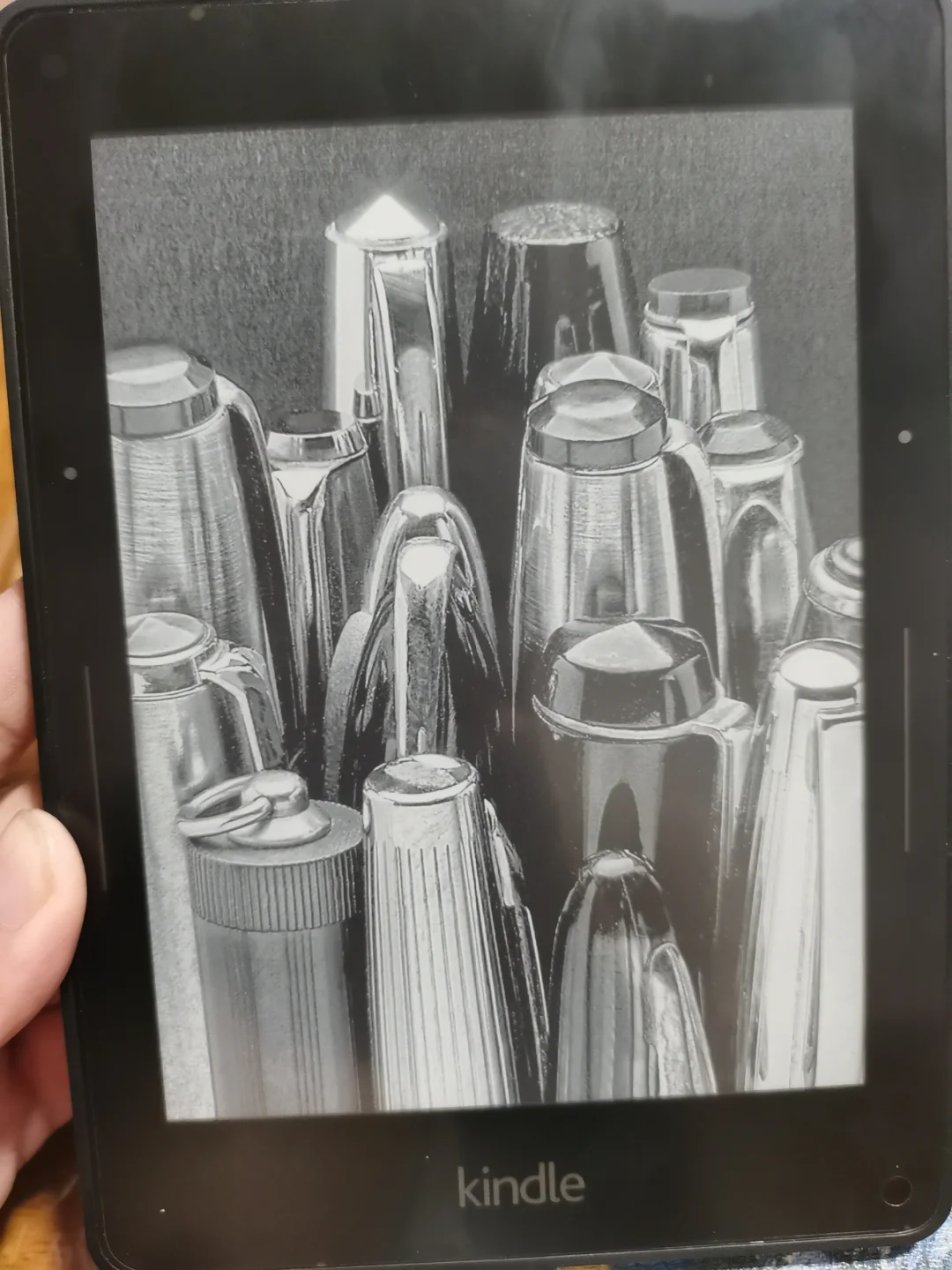 🐟的kindle Voyage 320元安全下车