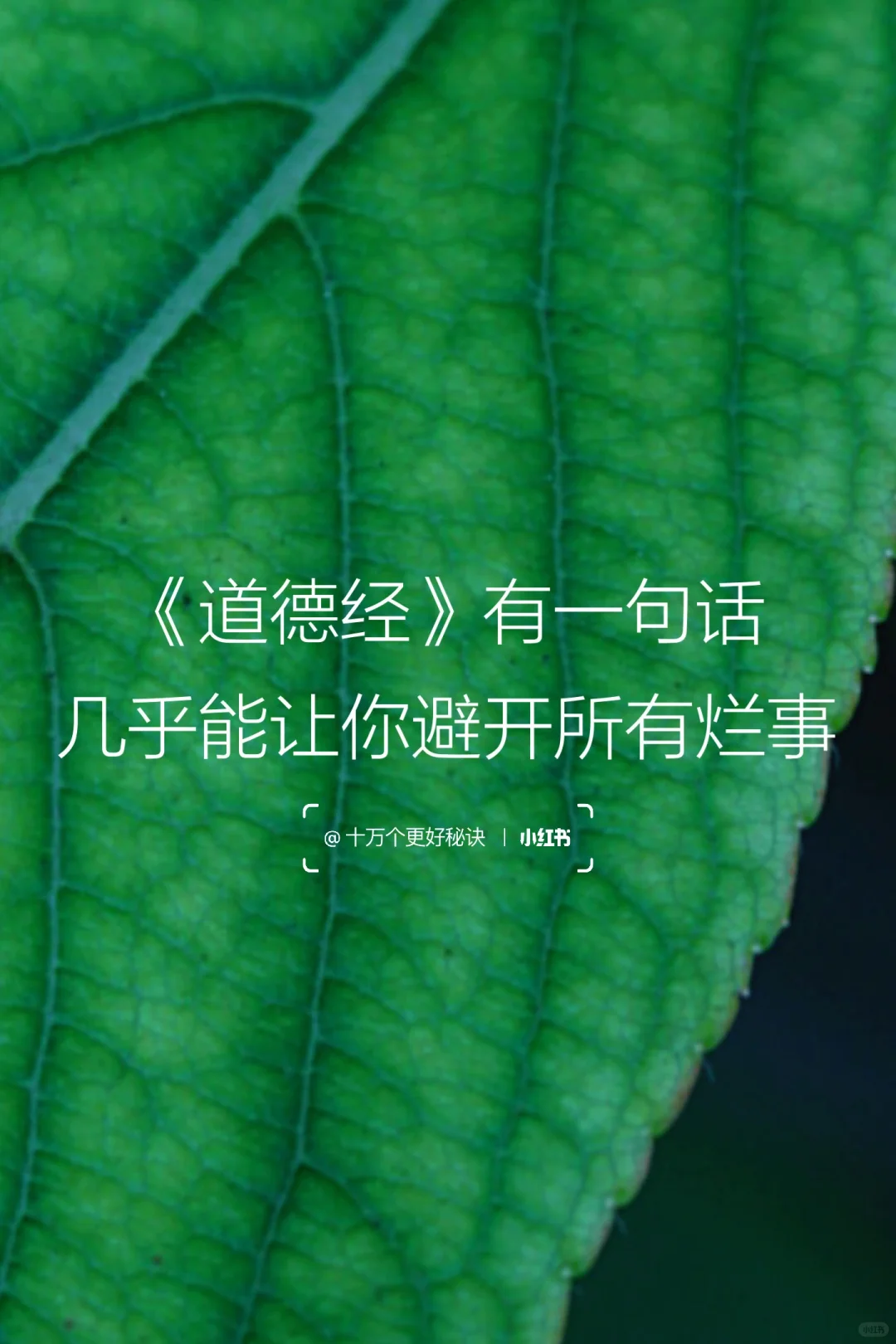 《道德经》有一句话，几乎能让你避开所有烂事