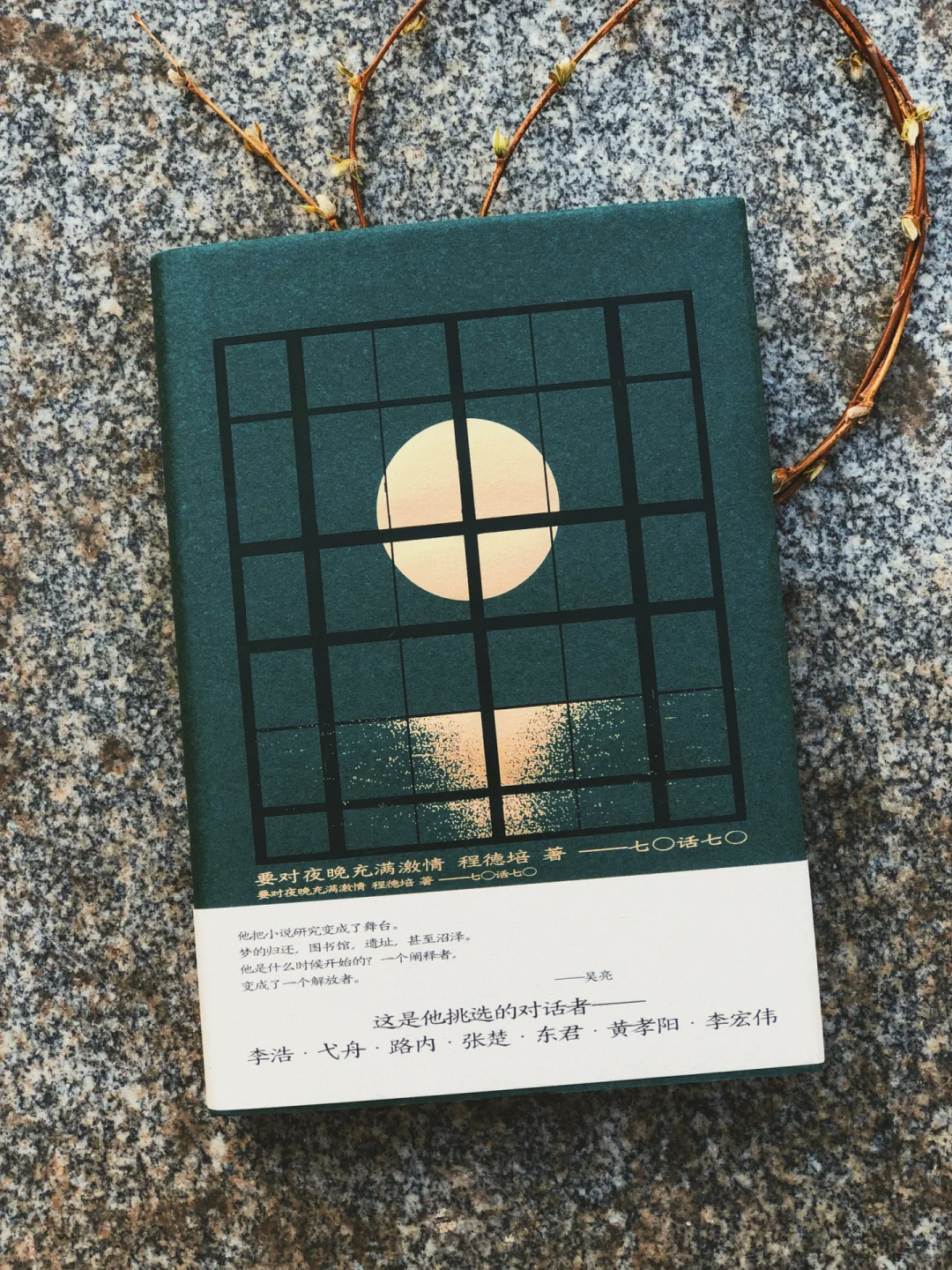 从目录开始就让人拿的起放不下的文学评论集