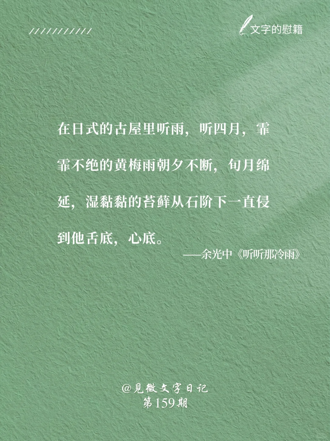 《听听那冷雨》｜余光中的文字真美呀🥹
