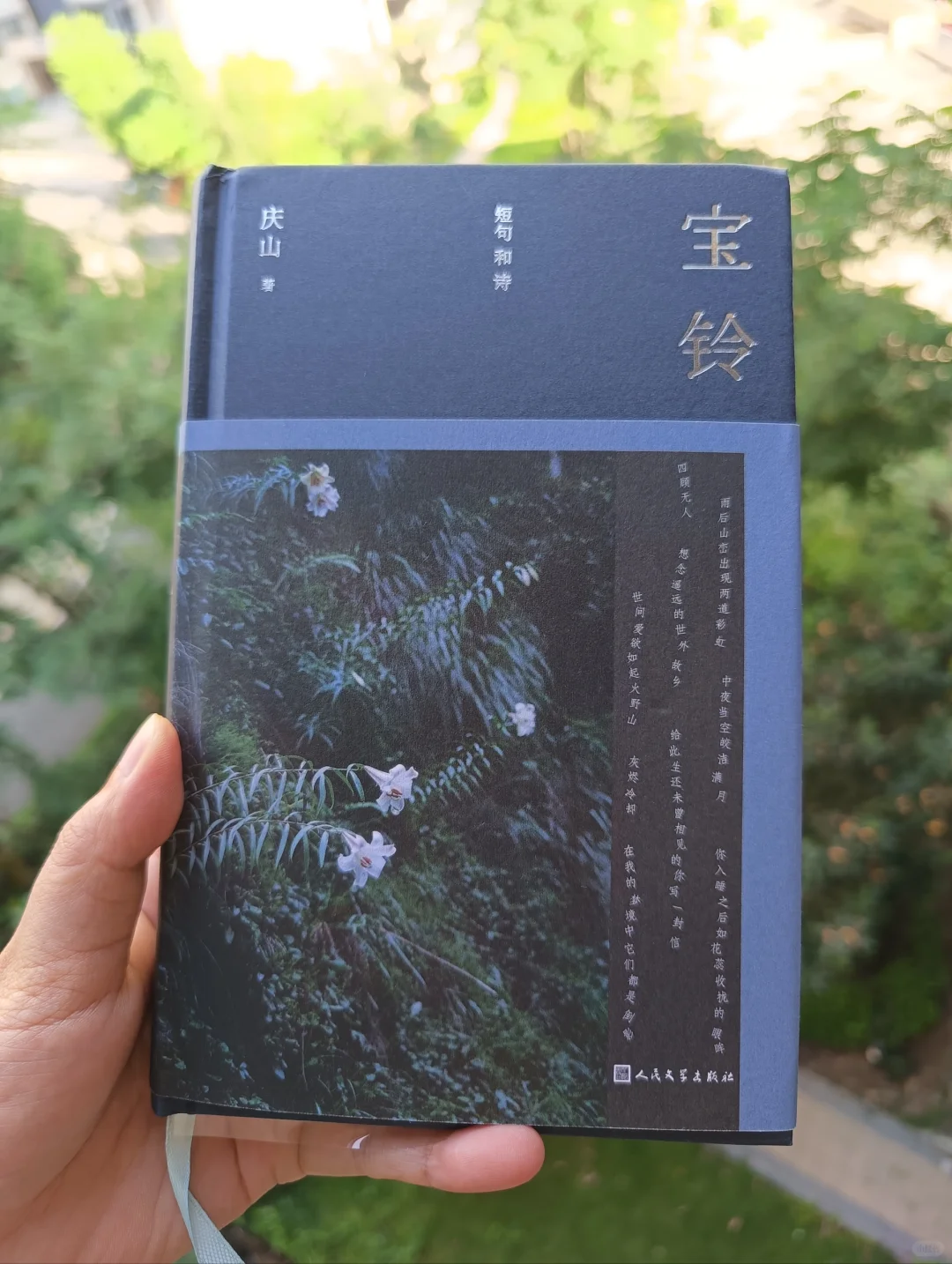 📖《寶鈴》|喜歡的作家出新書