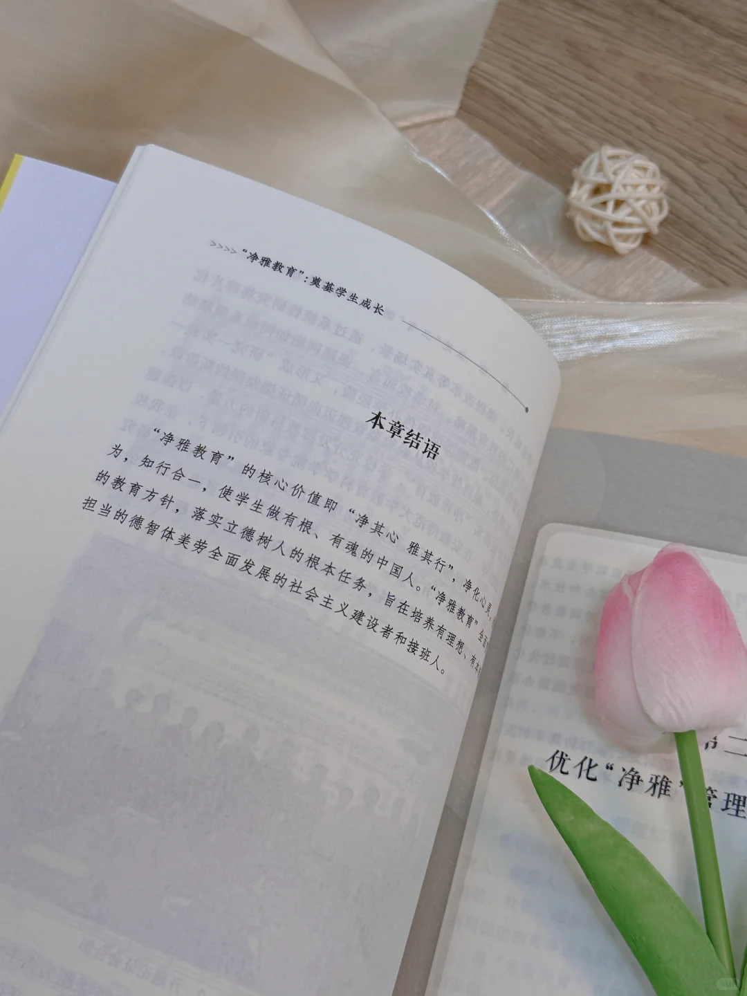 【新书推荐】净雅教育：奠基学生成长