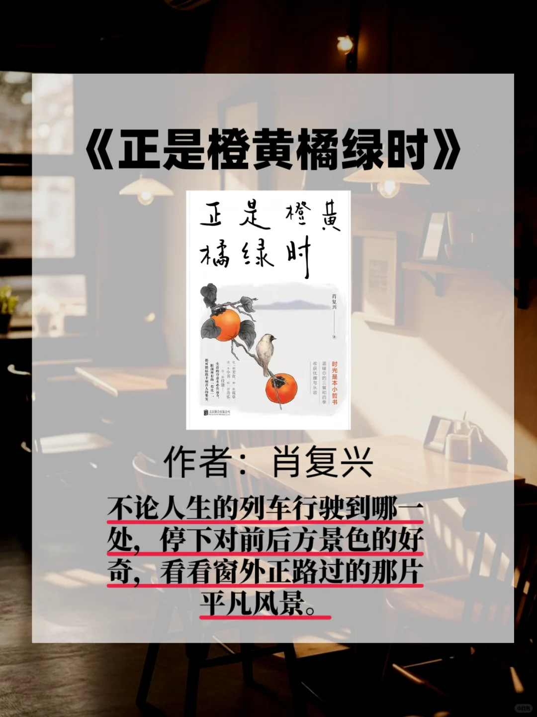 女生这9本书📚往烂了读气质变得落落大方