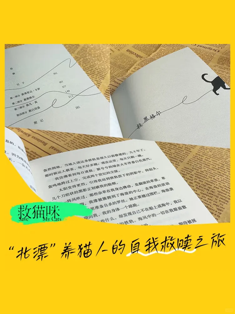 新书推荐｜救猫咪🐱，更是救自己～