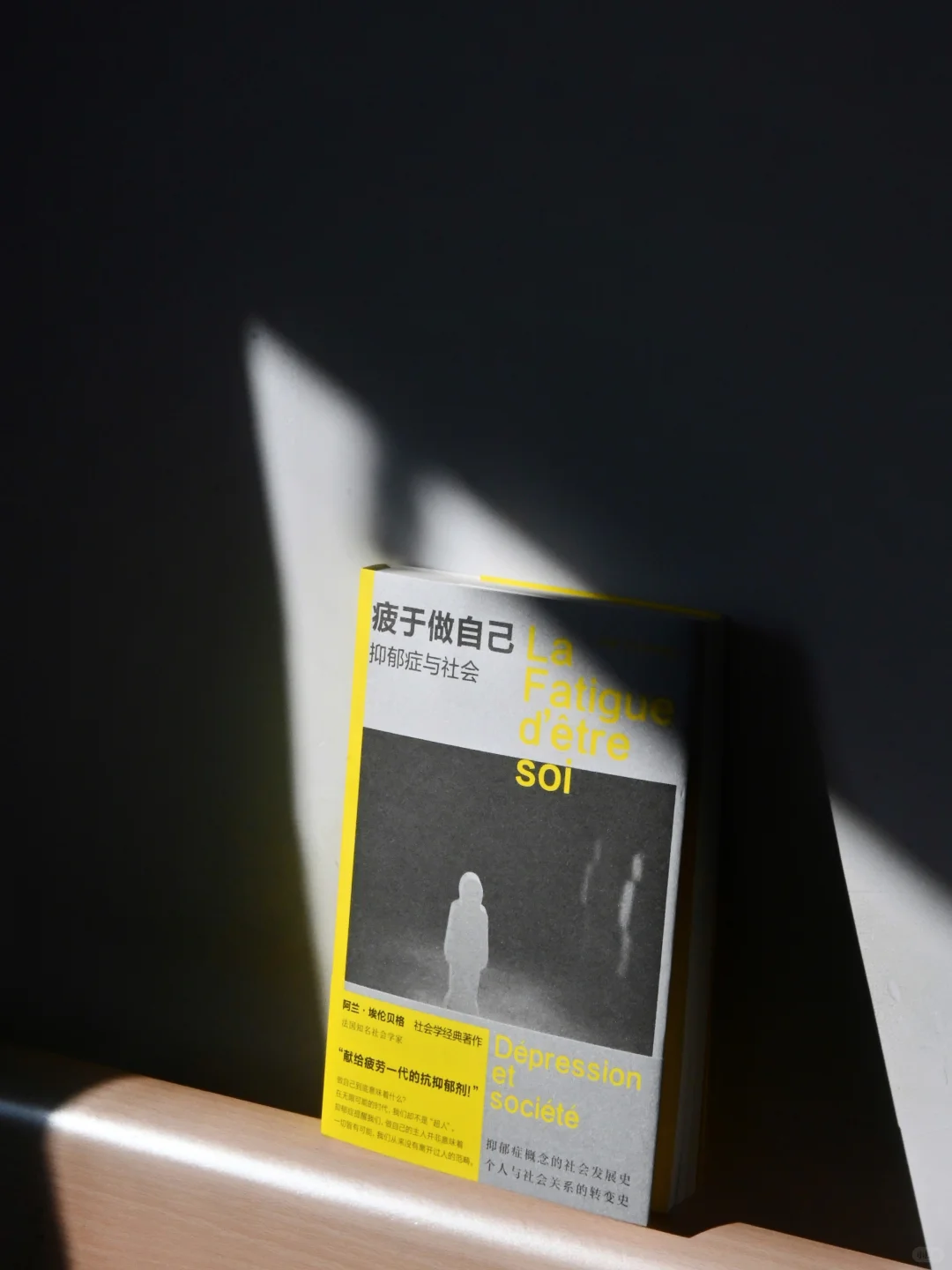 新书开箱｜让阅读陪我度过漫长岁月吧