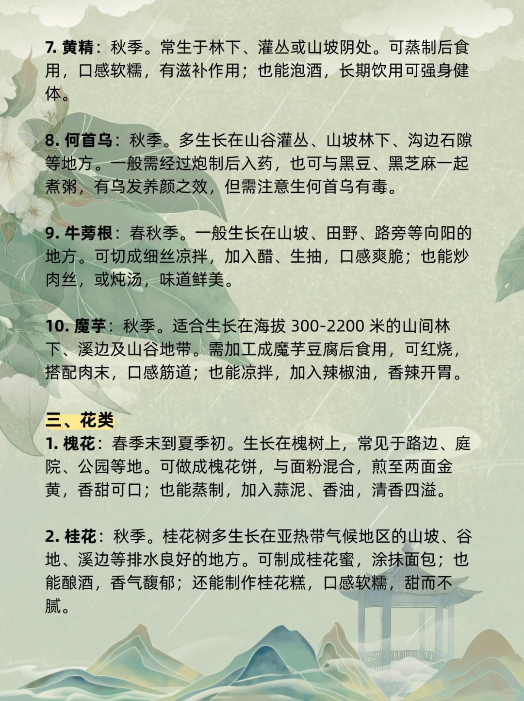 古言、年代文必码！50 种野菜大集合