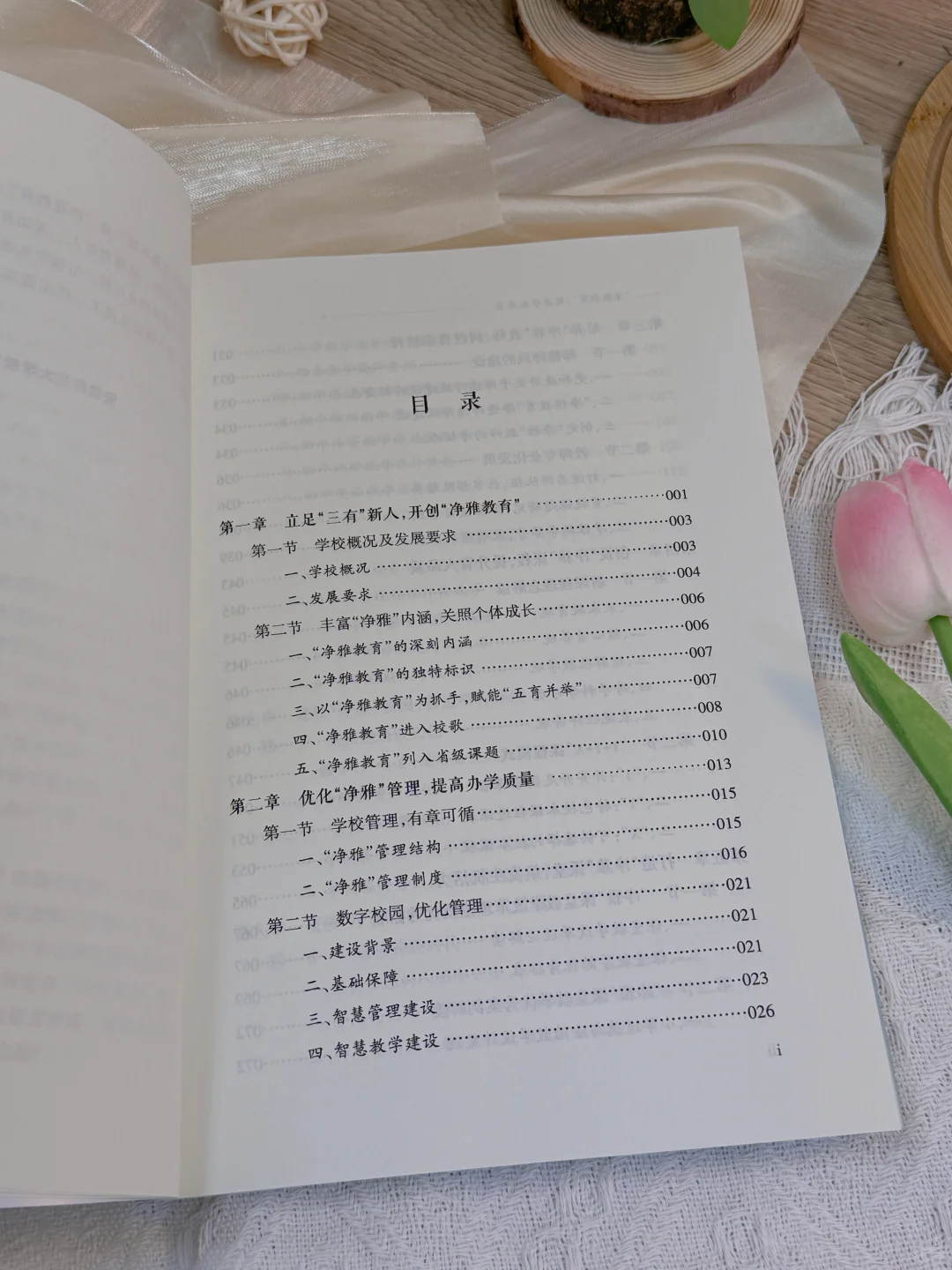 【新书推荐】净雅教育：奠基学生成长