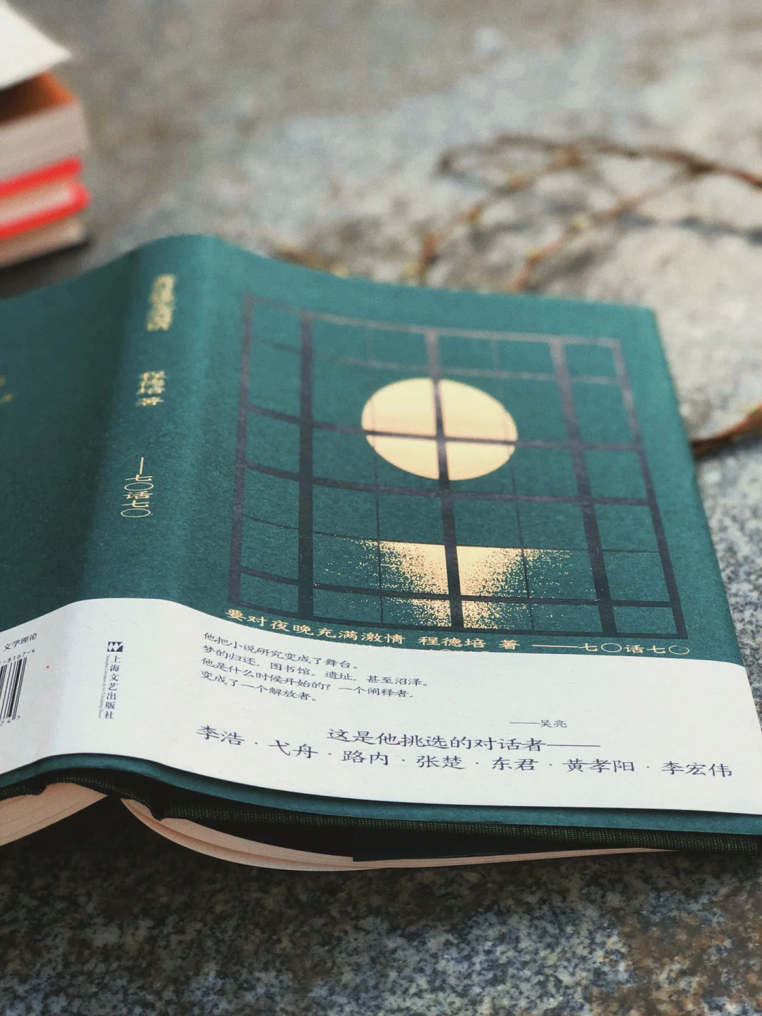 从目录开始就让人拿的起放不下的文学评论集