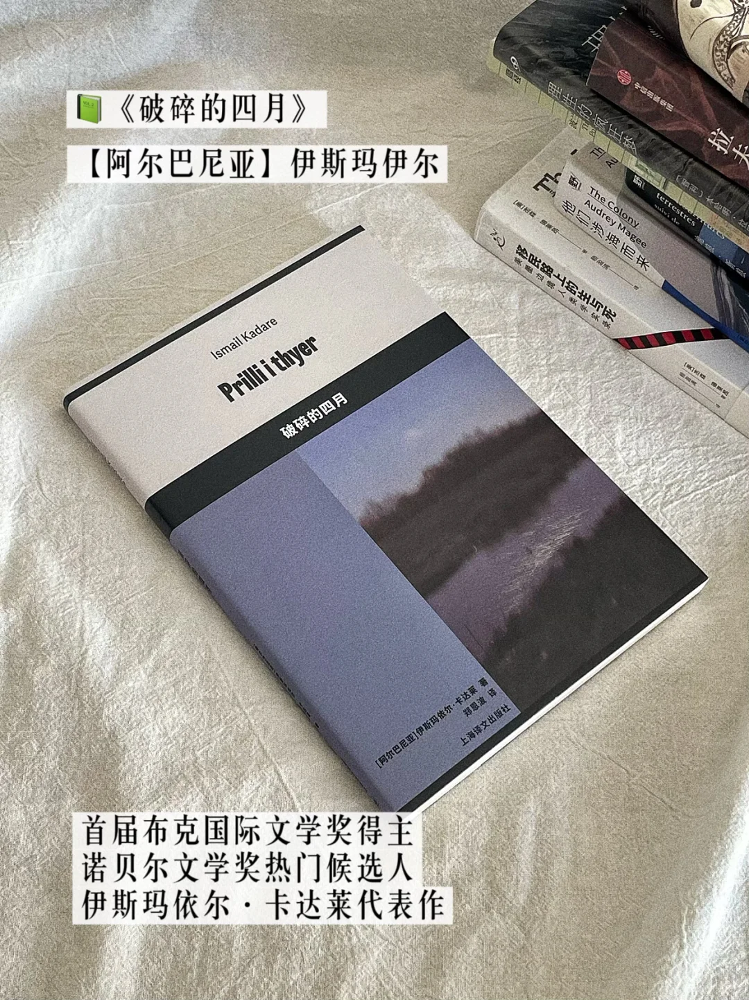 八月书单｜水灵灵的第一版印刷新书🤗