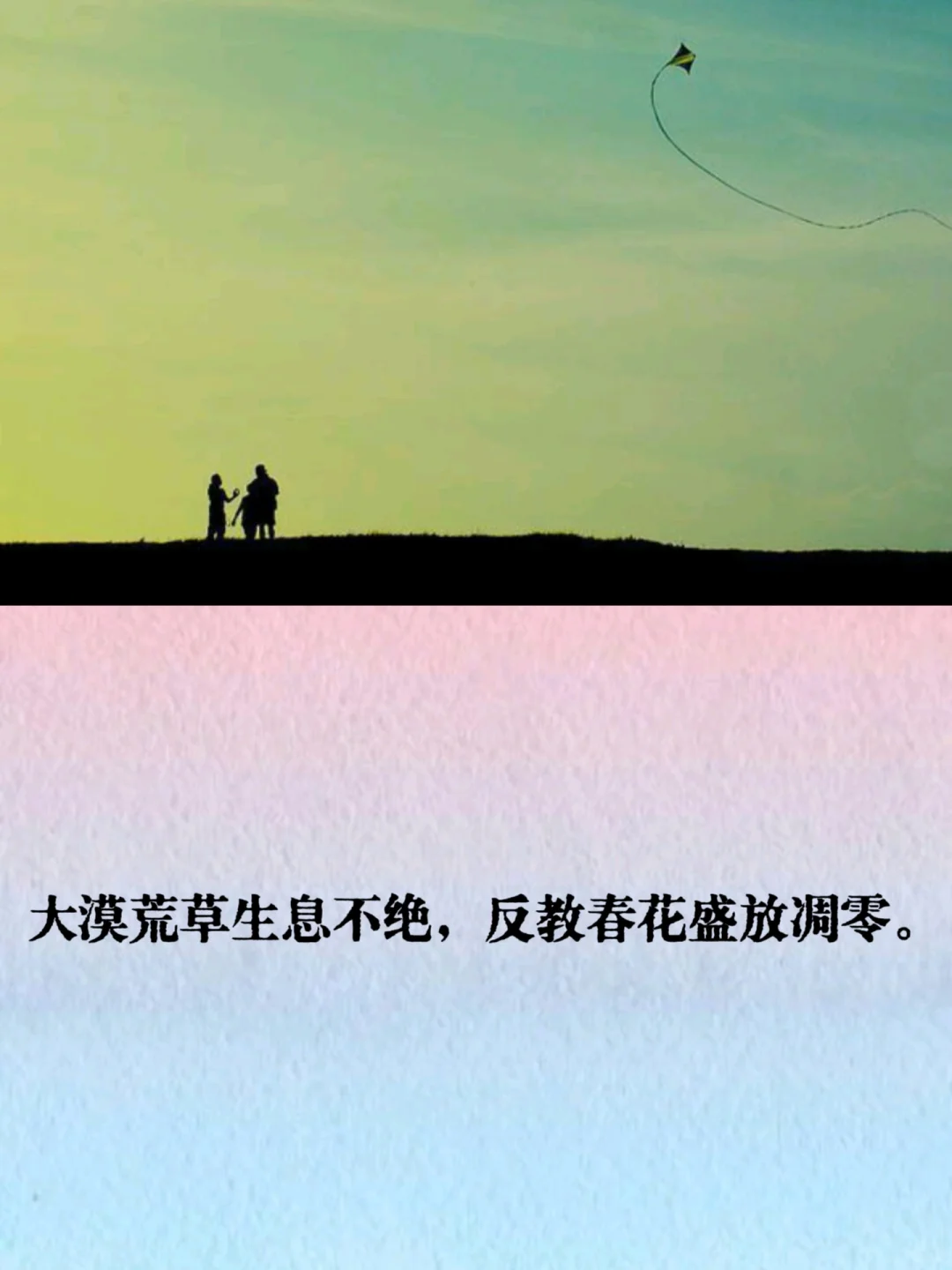 每天了解一本书：《追风筝的人》