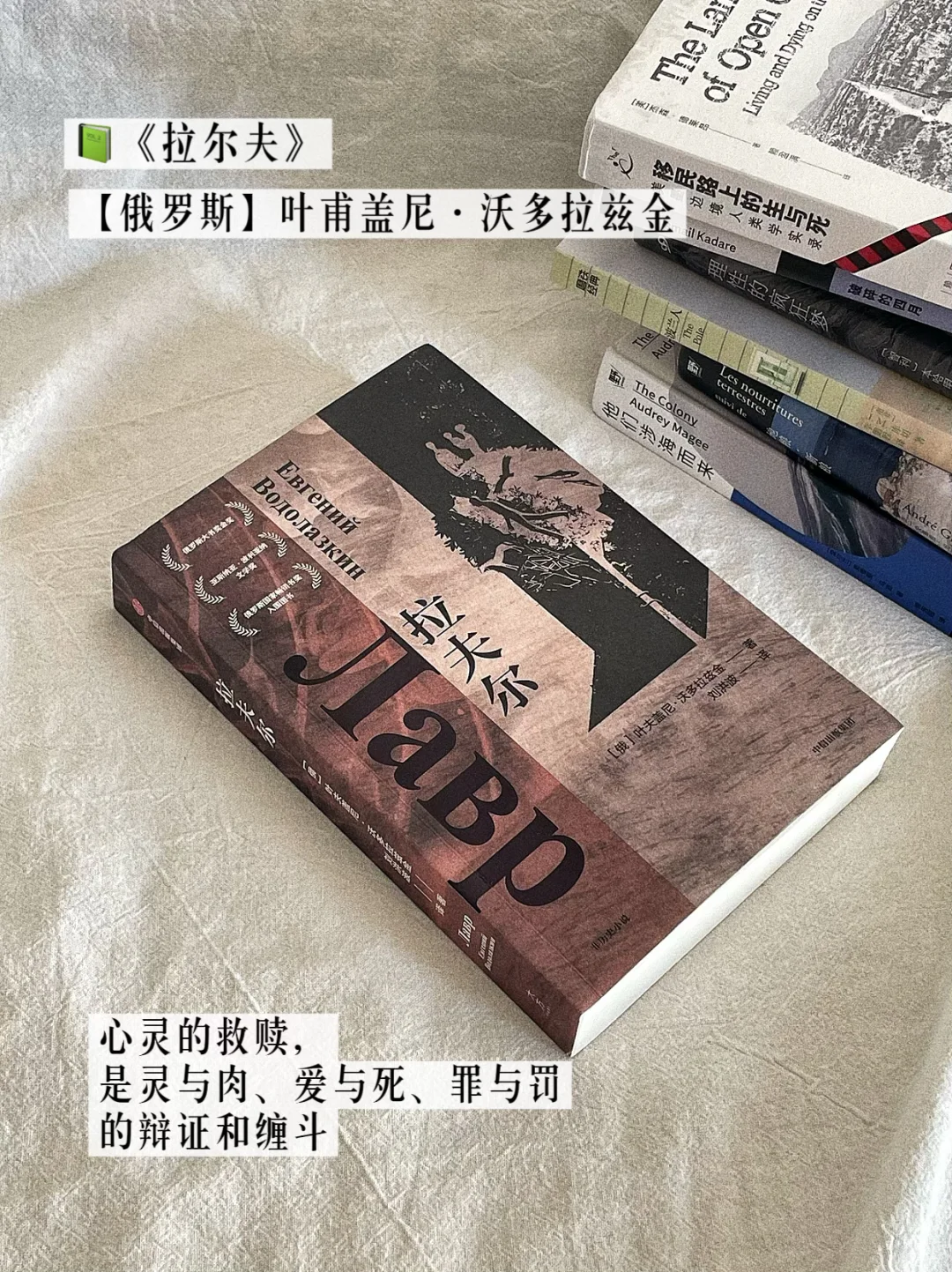 八月书单｜水灵灵的第一版印刷新书🤗