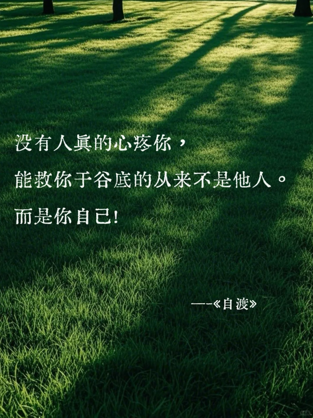 《自渡》墨多先生