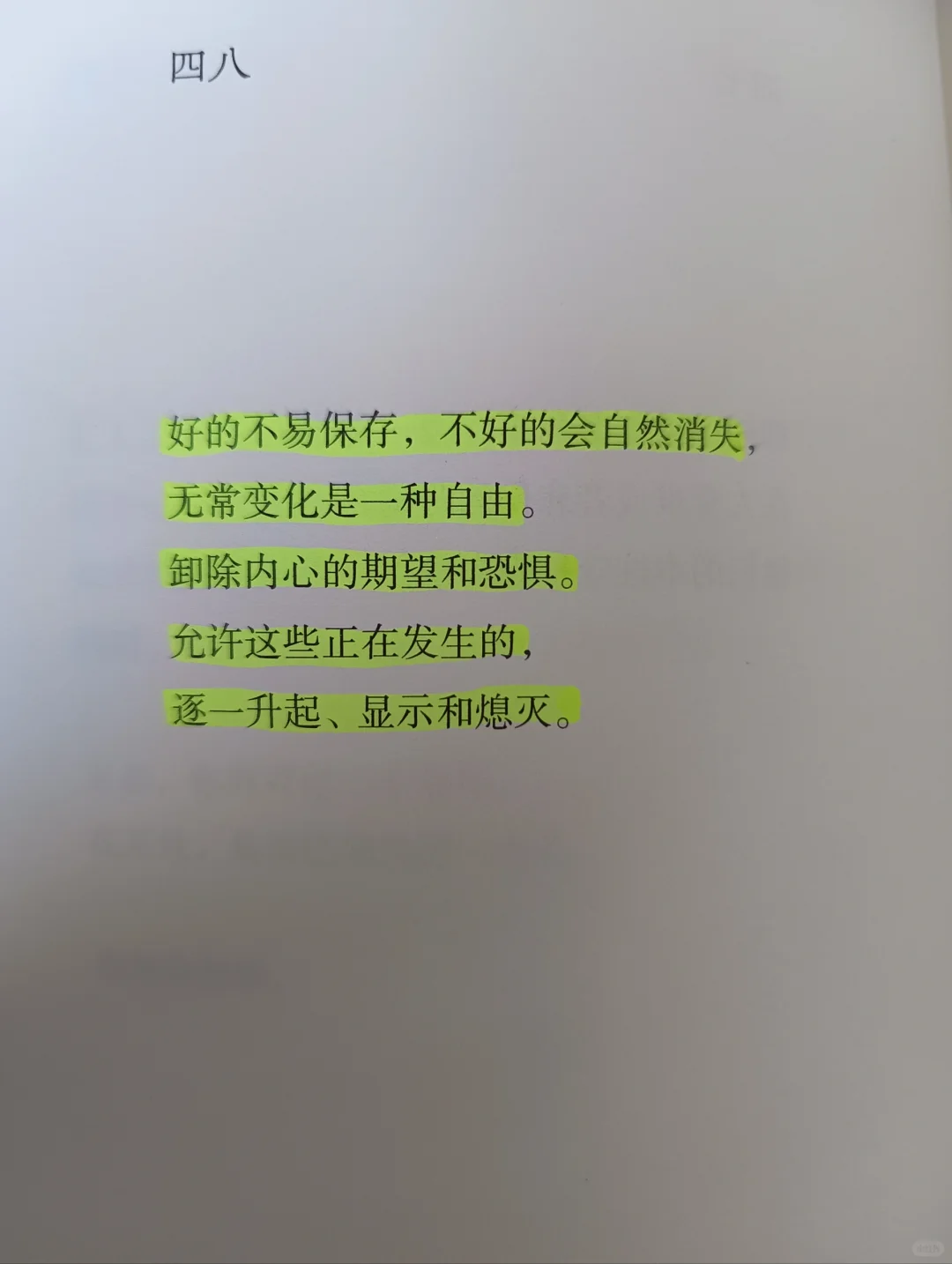 📖《寶鈴》|喜歡的作家出新書