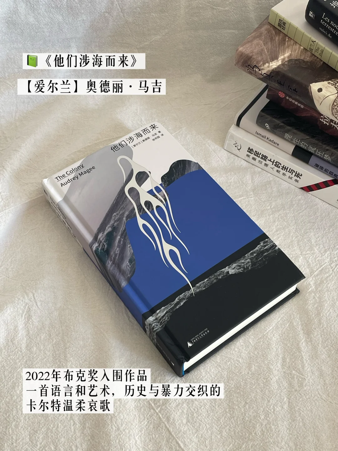 八月书单｜水灵灵的第一版印刷新书🤗