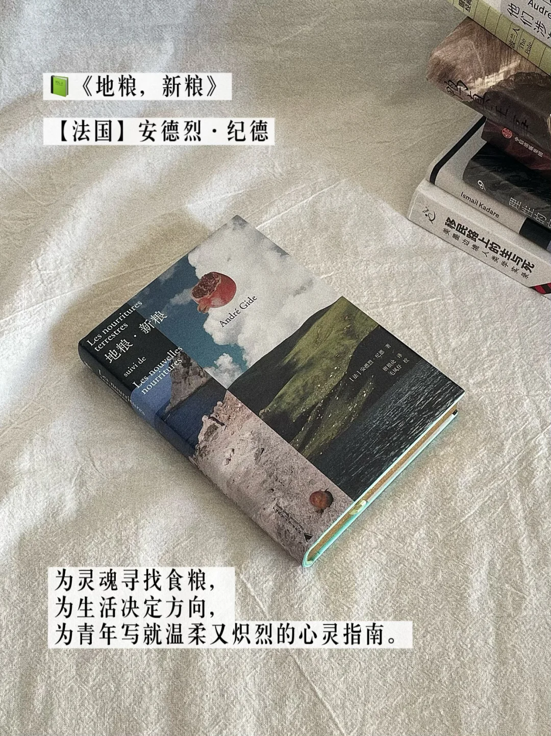 八月书单｜水灵灵的第一版印刷新书🤗