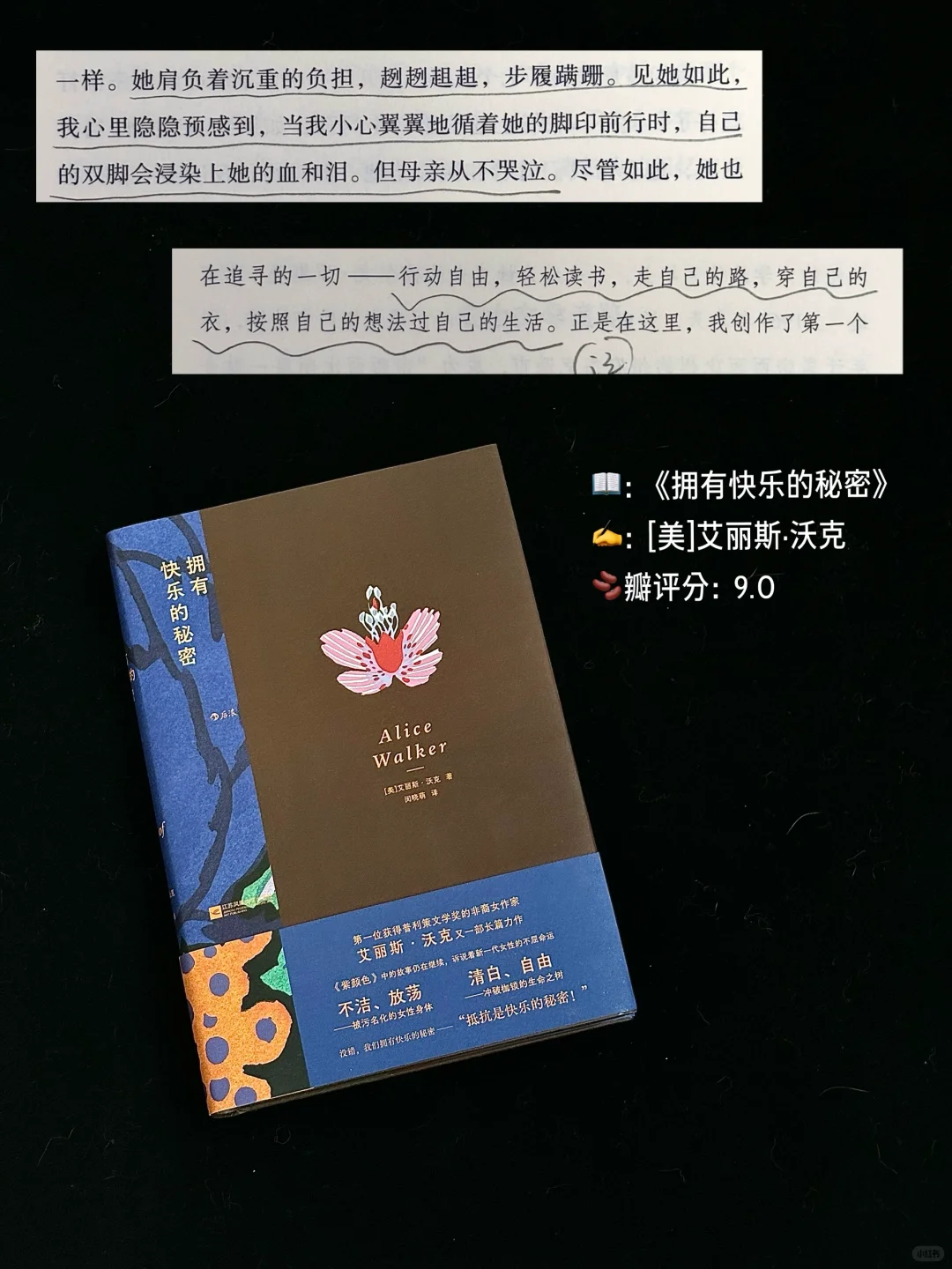 书单｜太细腻了 台湾文学真的很会治愈人🥲