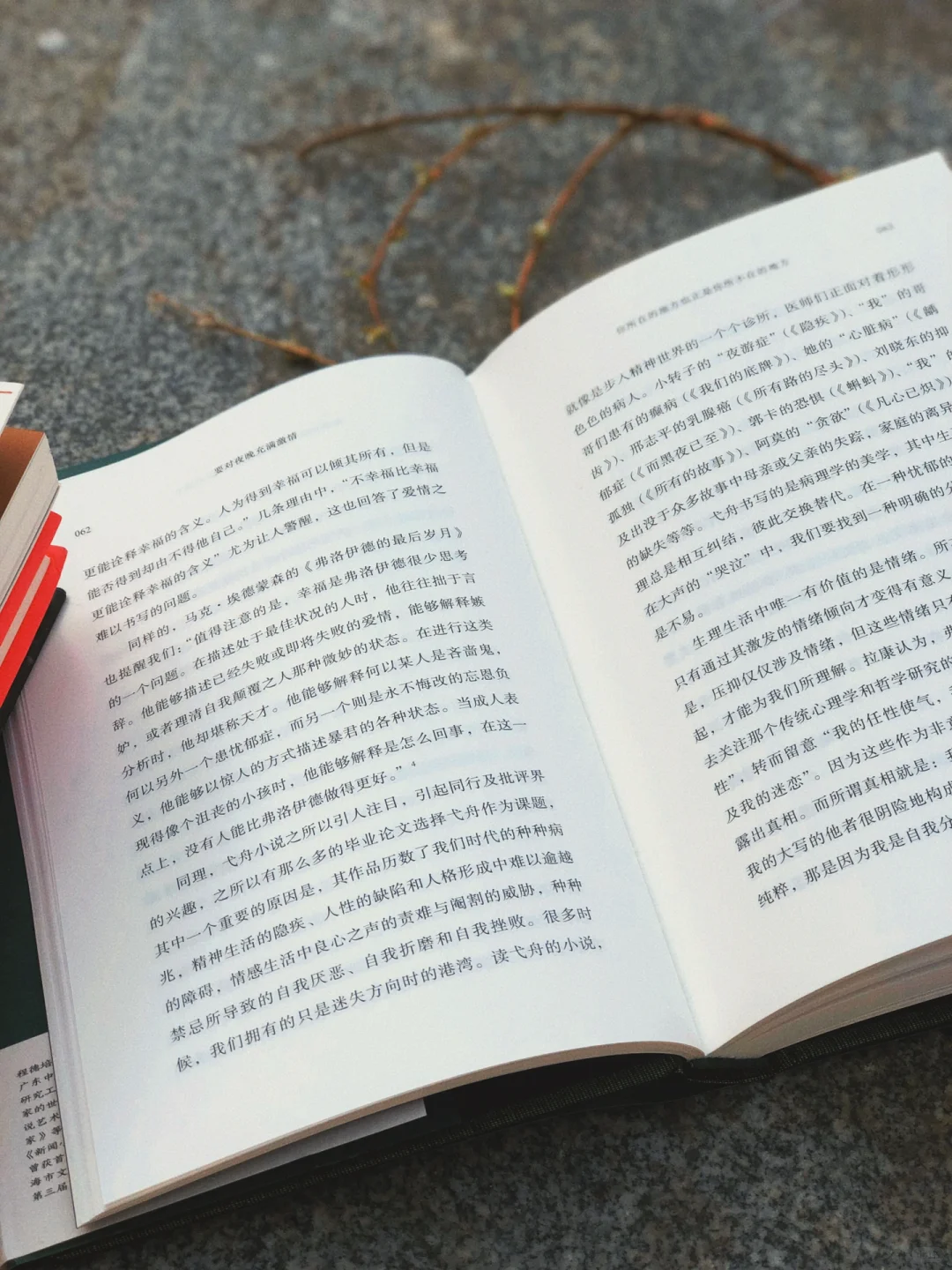 从目录开始就让人拿的起放不下的文学评论集