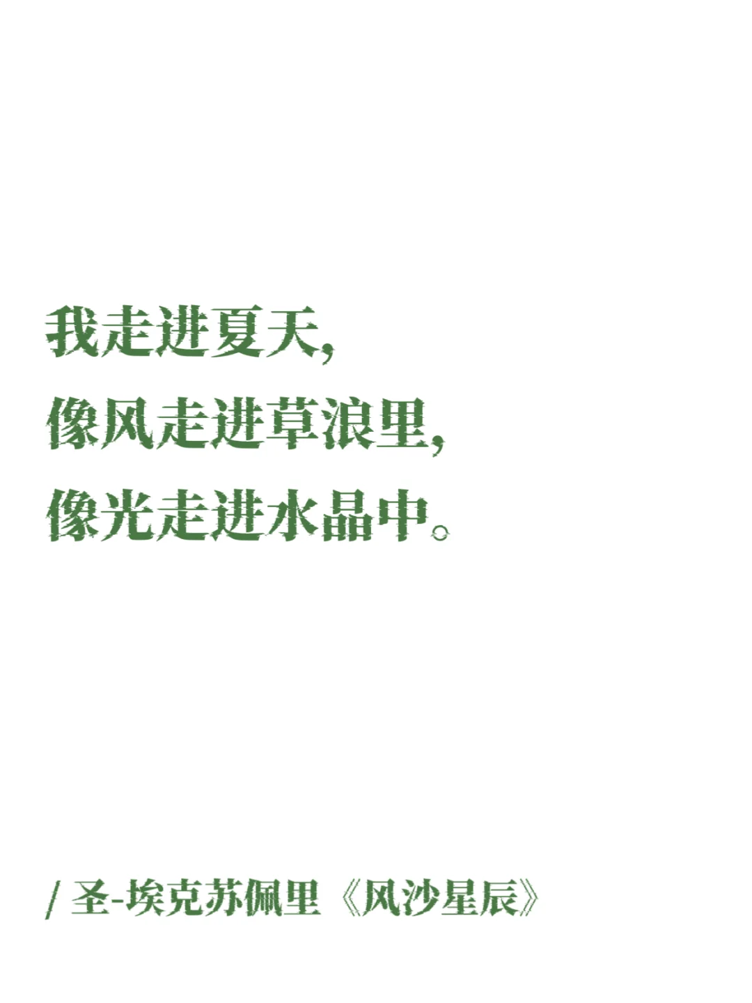 文学中的明媚夏日，简直太太太心动了！
