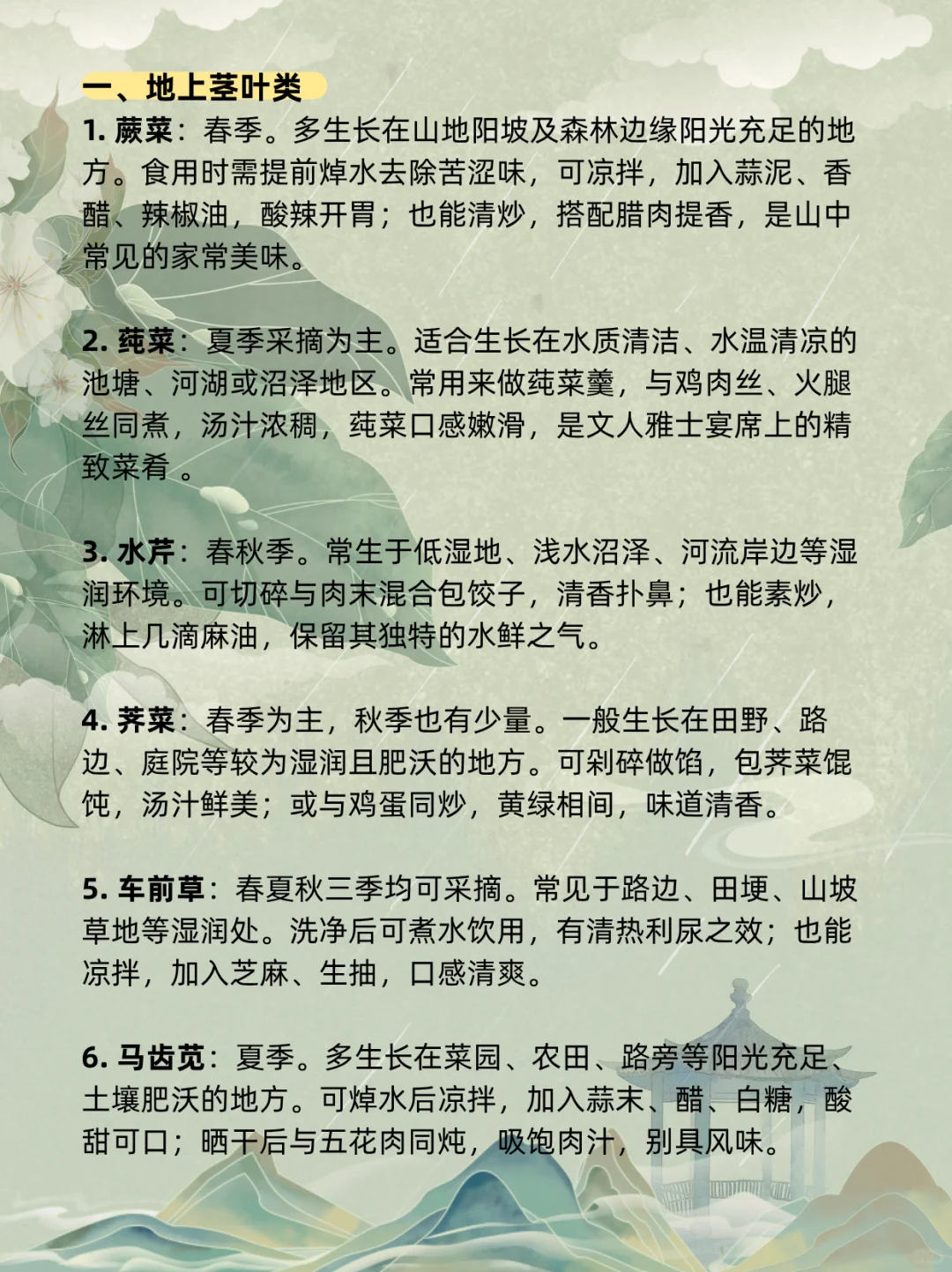 古言、年代文必码！50 种野菜大集合