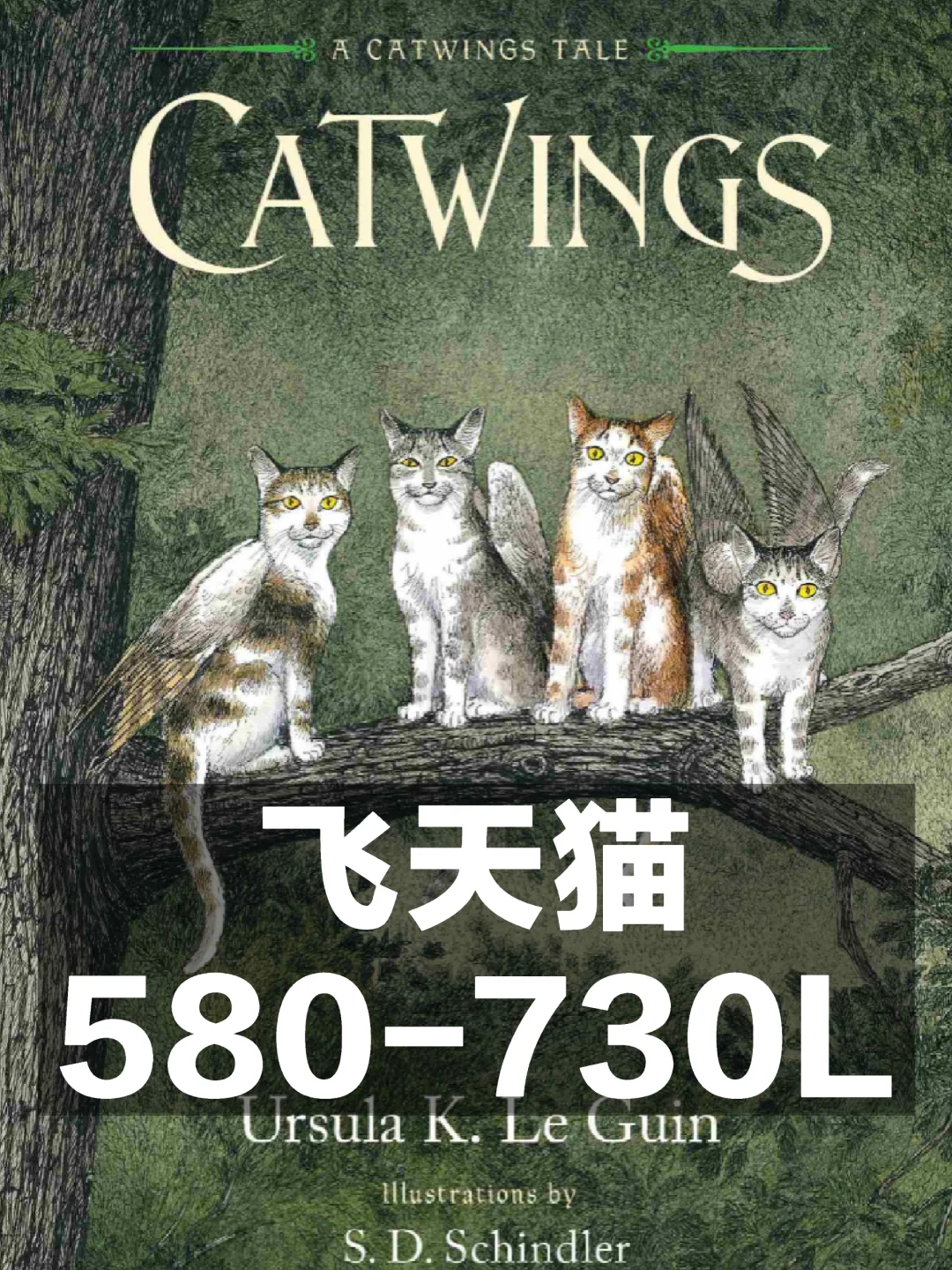 Catwings 飞天猫