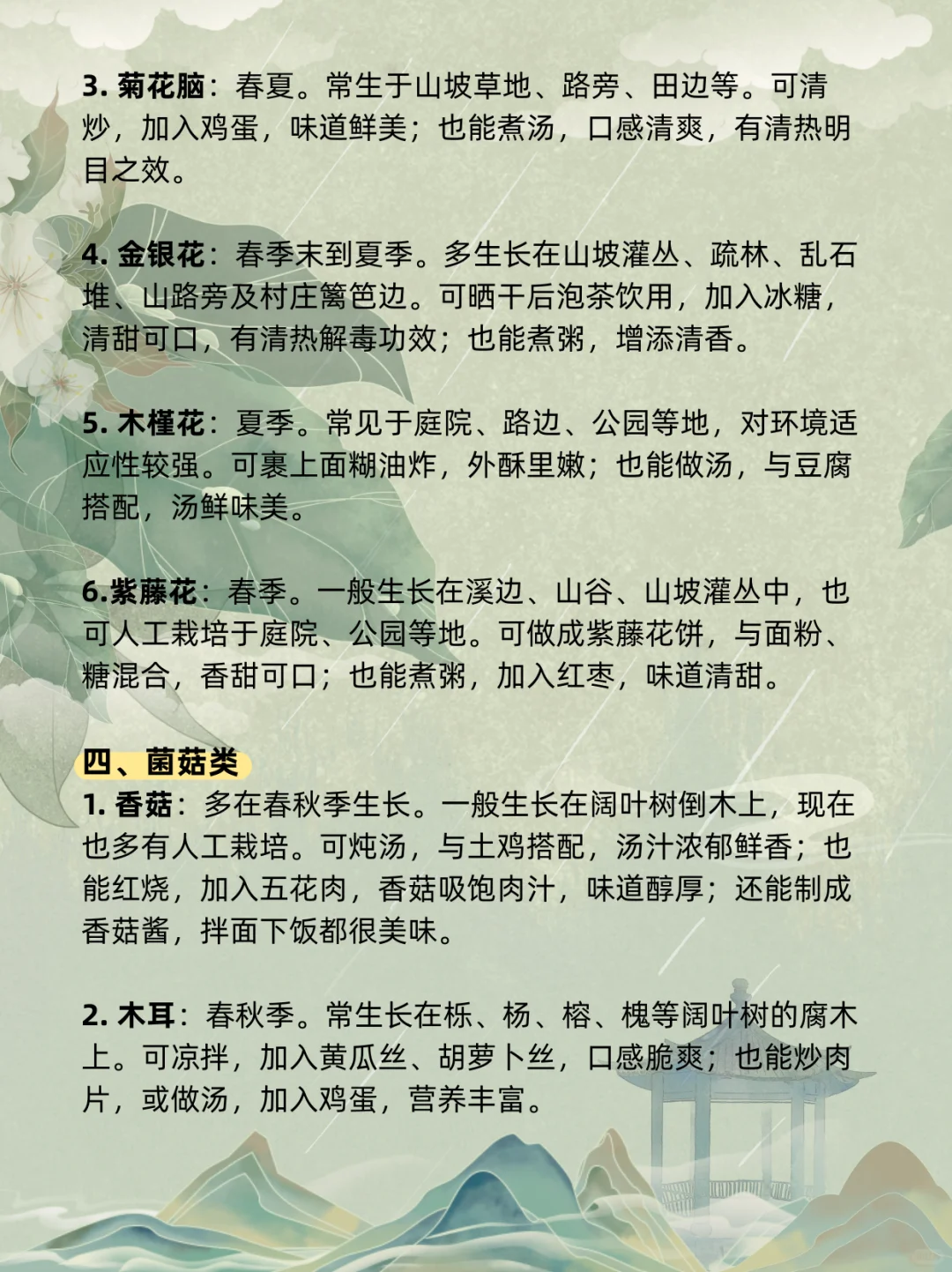 古言、年代文必码！50 种野菜大集合