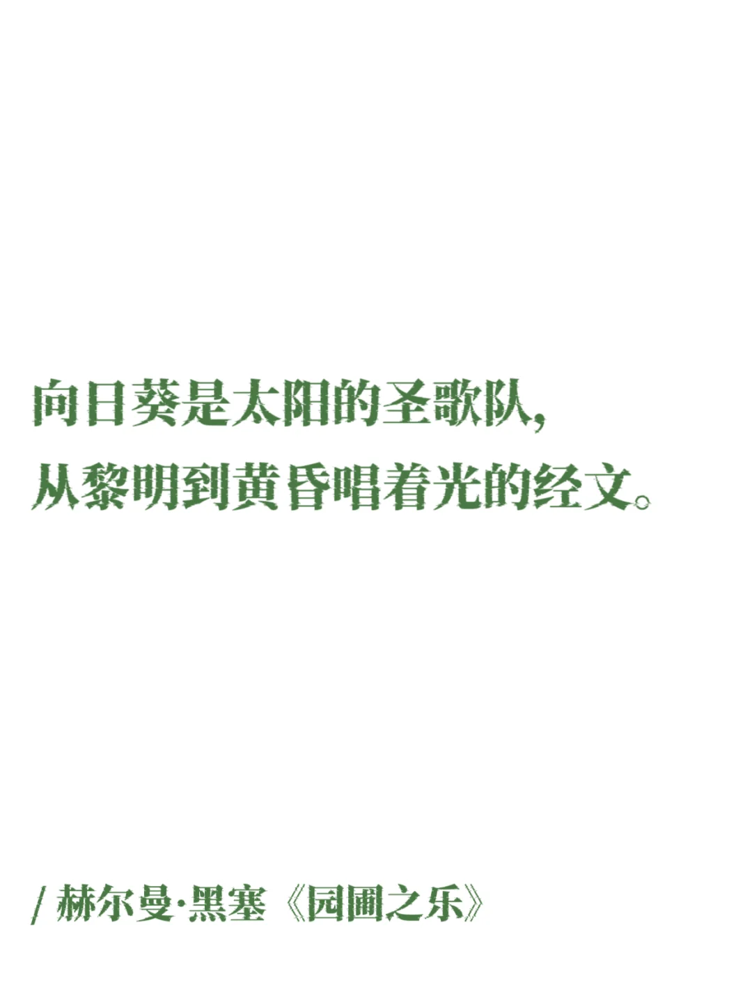 文学中的明媚夏日，简直太太太心动了！