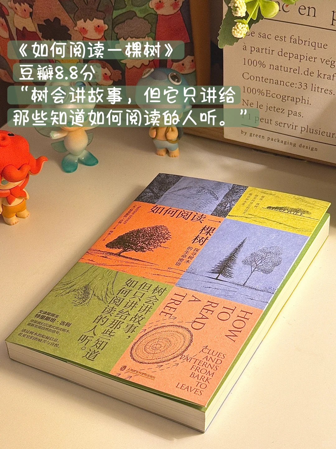 📚新书开箱📦|薅羊毛买书的快乐来啦~🥰
