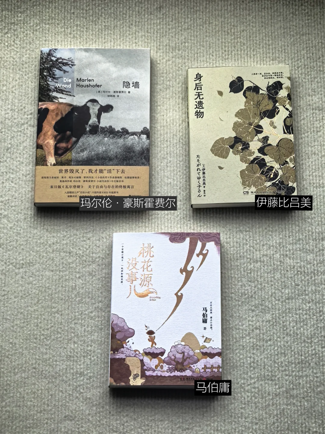 永远为新书的到来雀跃