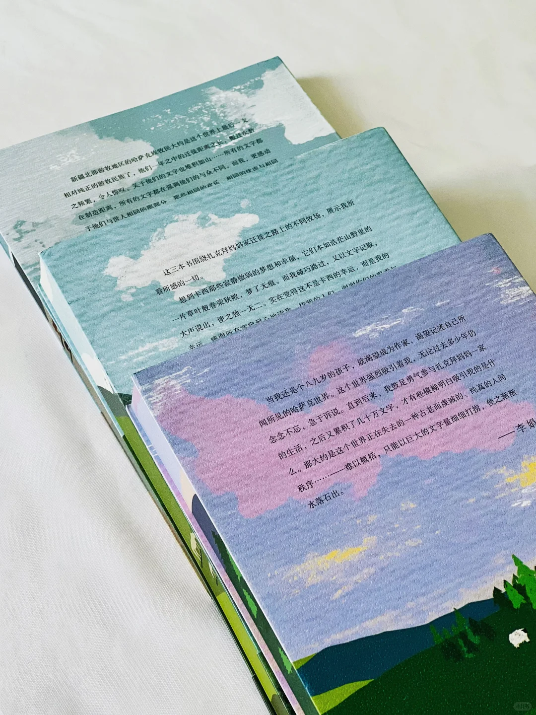 赠书｜我宣布！今年夏天蕞治愈的书出现了！