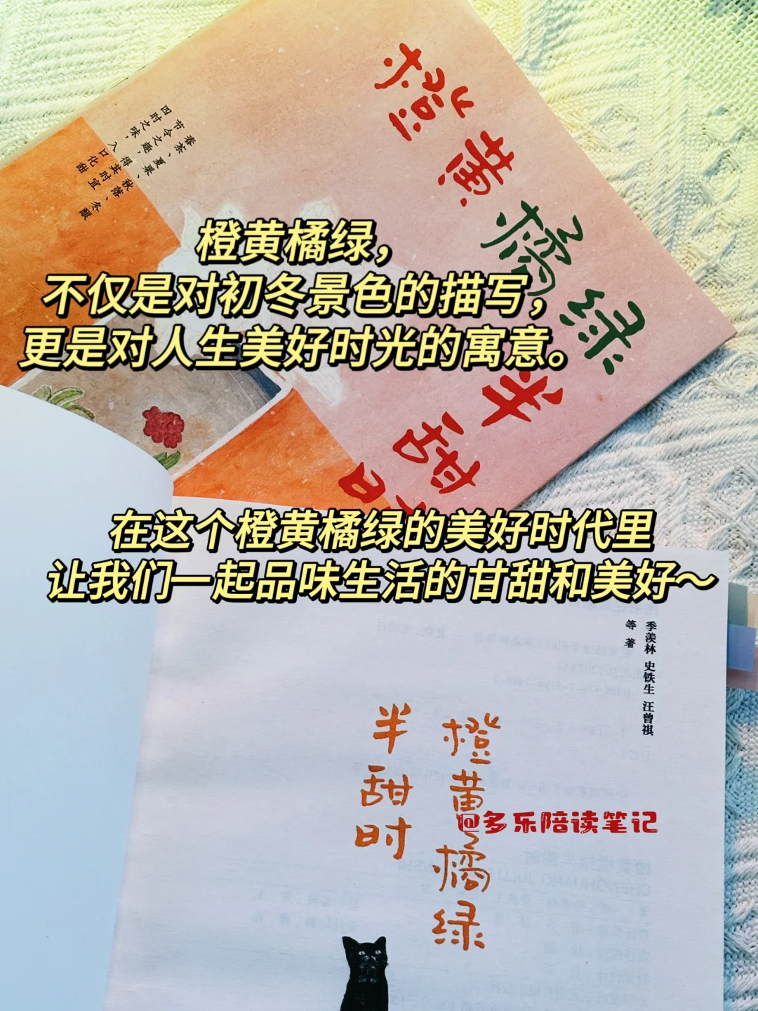 不愧是央妈力荐的书，被狠狠地治愈了！