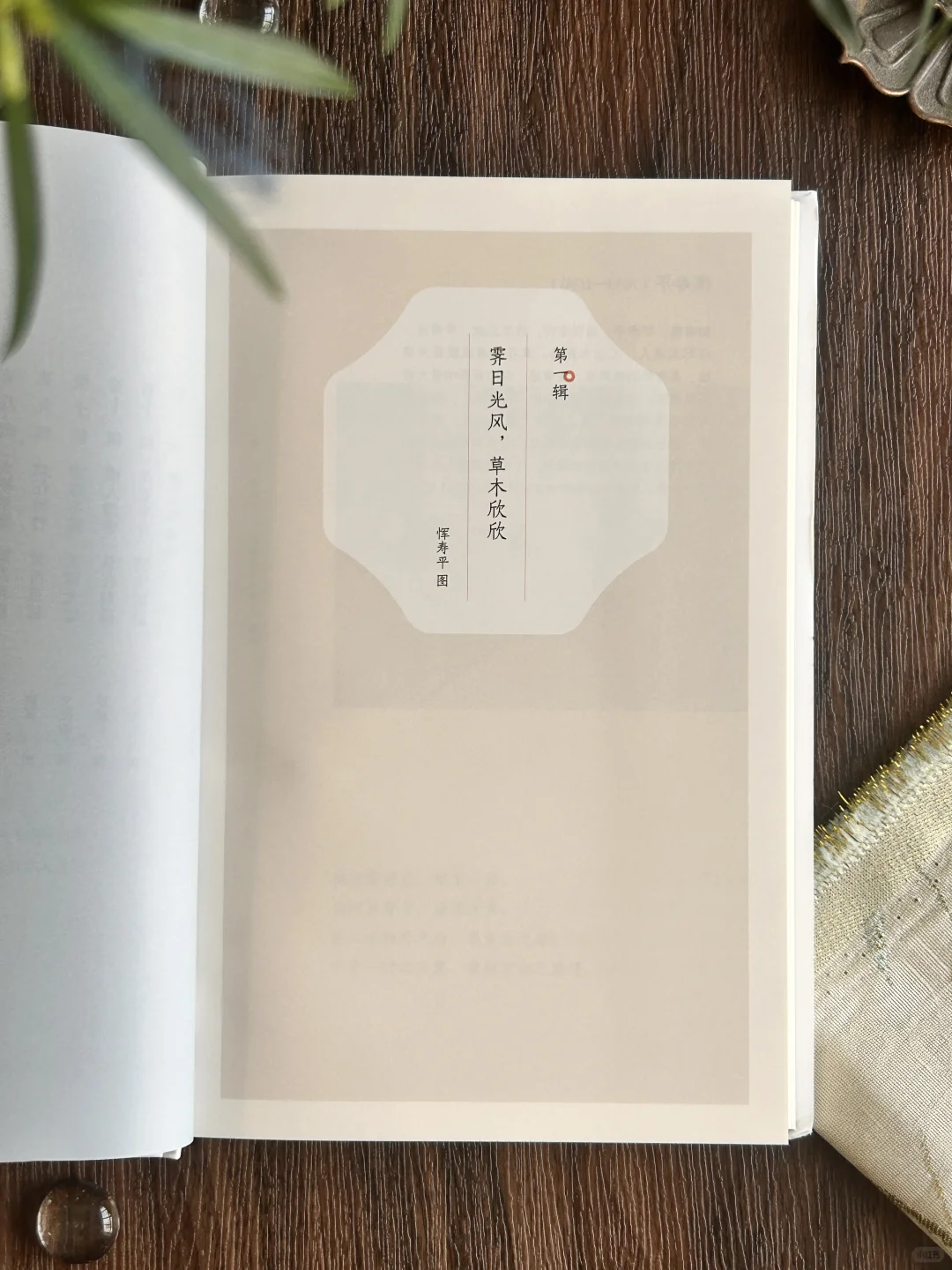 高分奇书|句句皆精华,小书里藏着处世大智慧