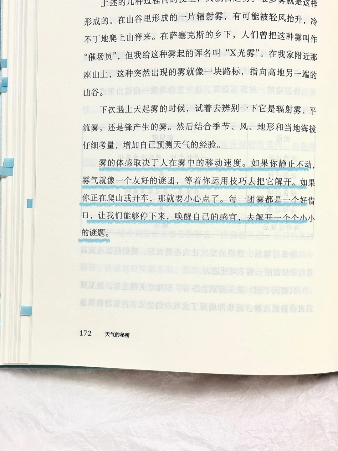天呐❕怎么会有这么有趣又治愈的书啊啊啊