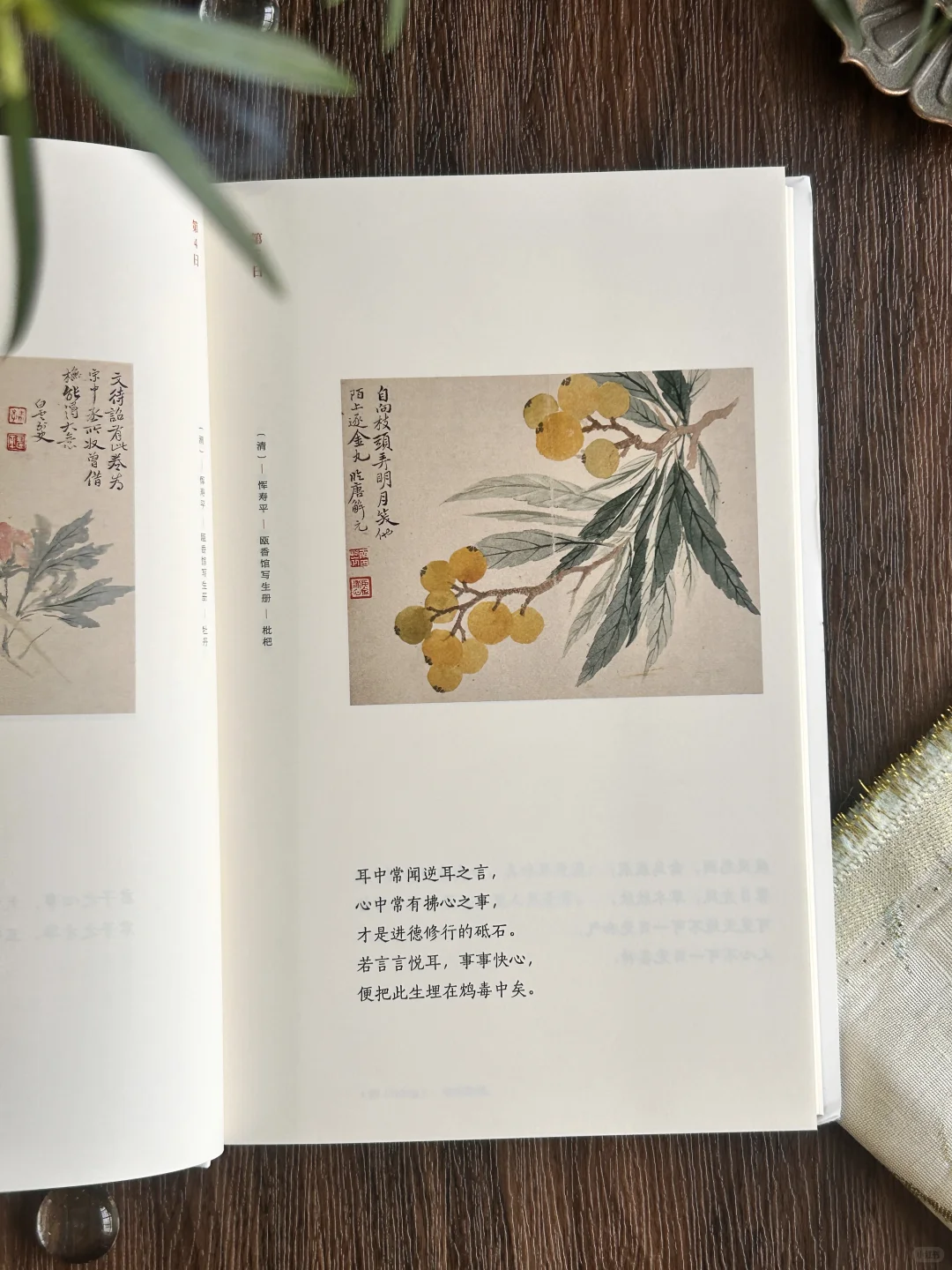 高分奇书|句句皆精华,小书里藏着处世大智慧