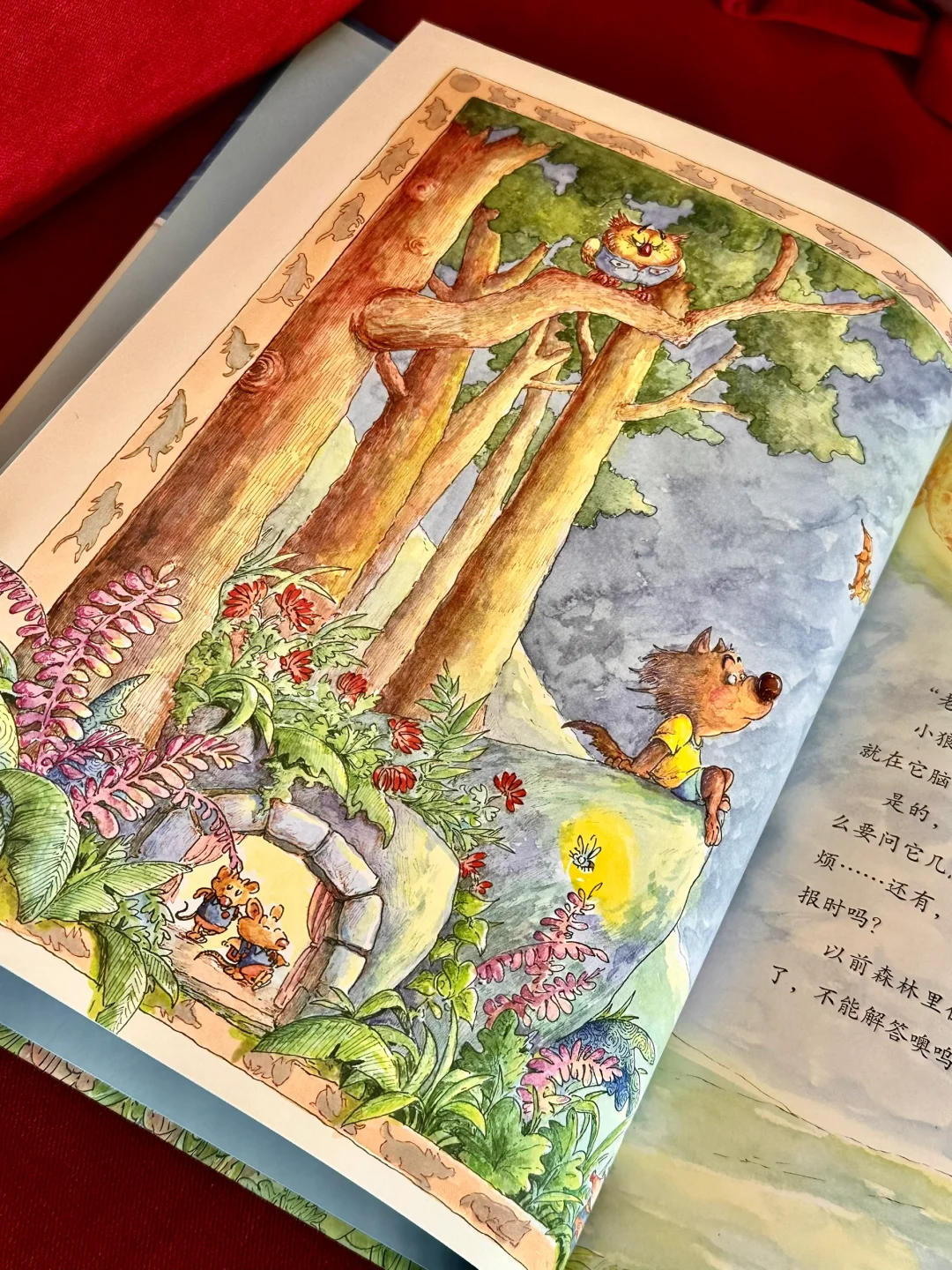 相信我！这是2025最值得入手的绘本！！绝对！！