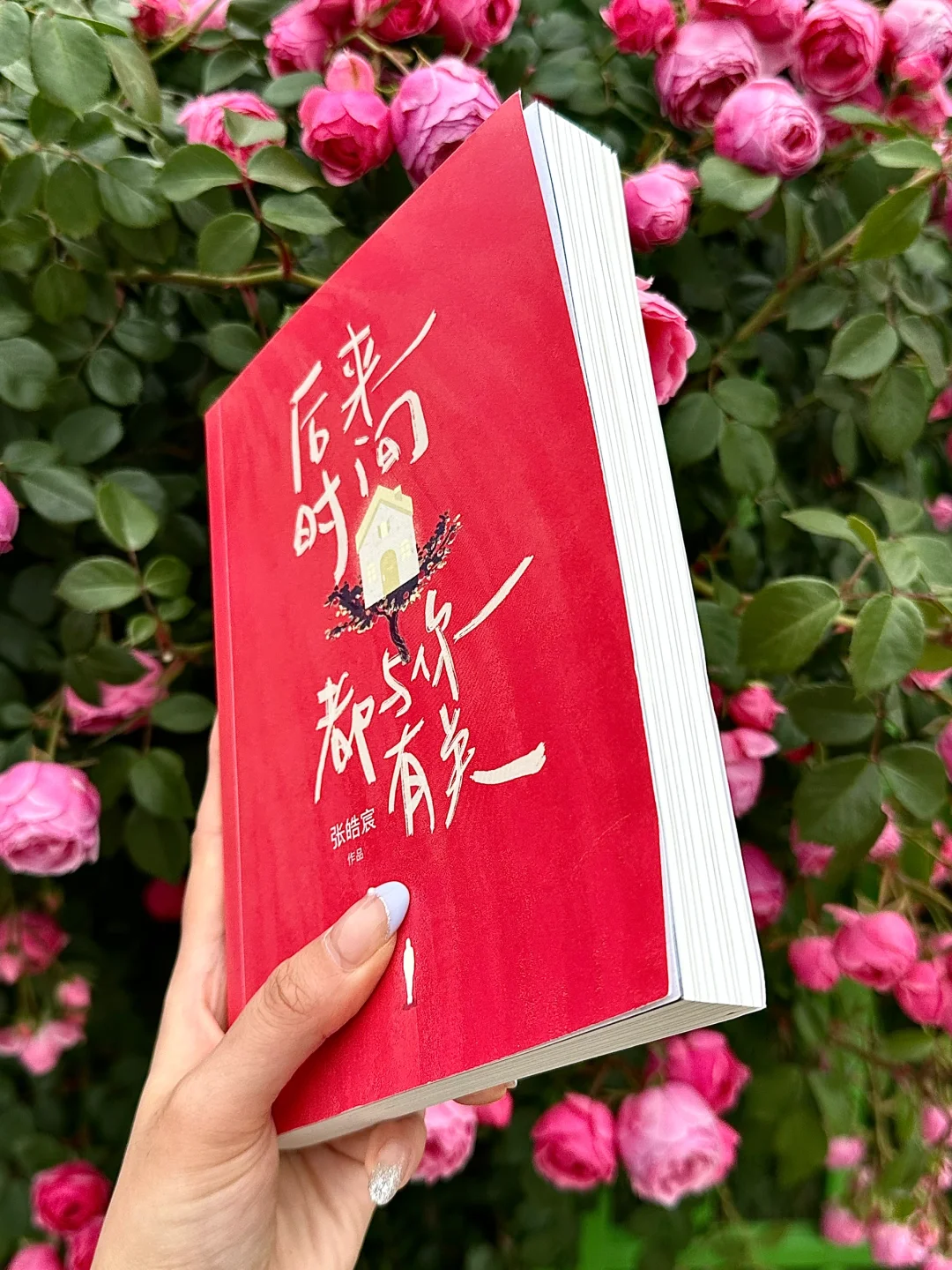 我今年读过最有意义的书，释怀了此生的遗憾。