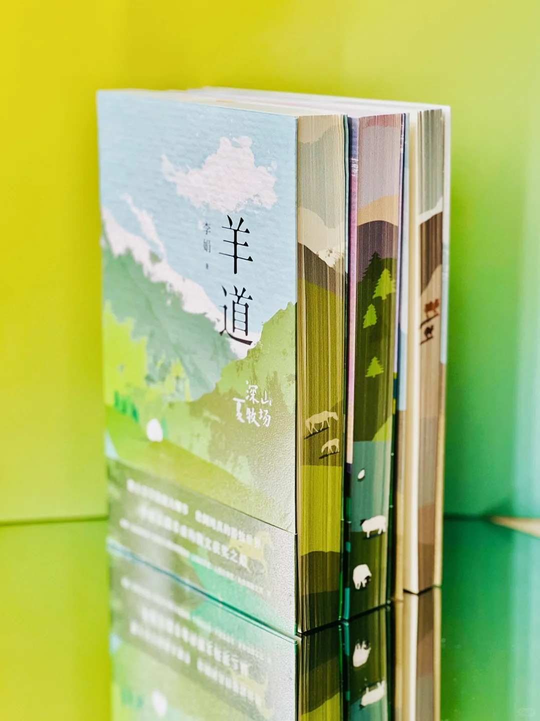 赠书｜我宣布！今年夏天蕞治愈的书出现了！