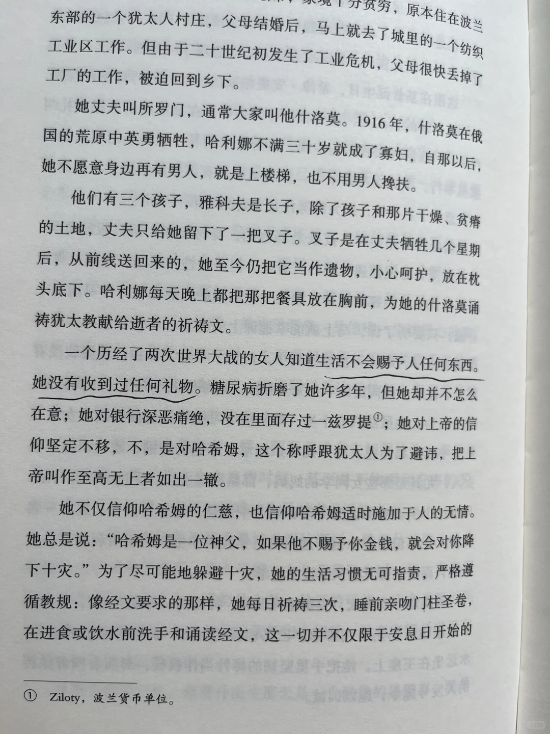 平静不属于人类，属于晒太阳的猫、不动的山。