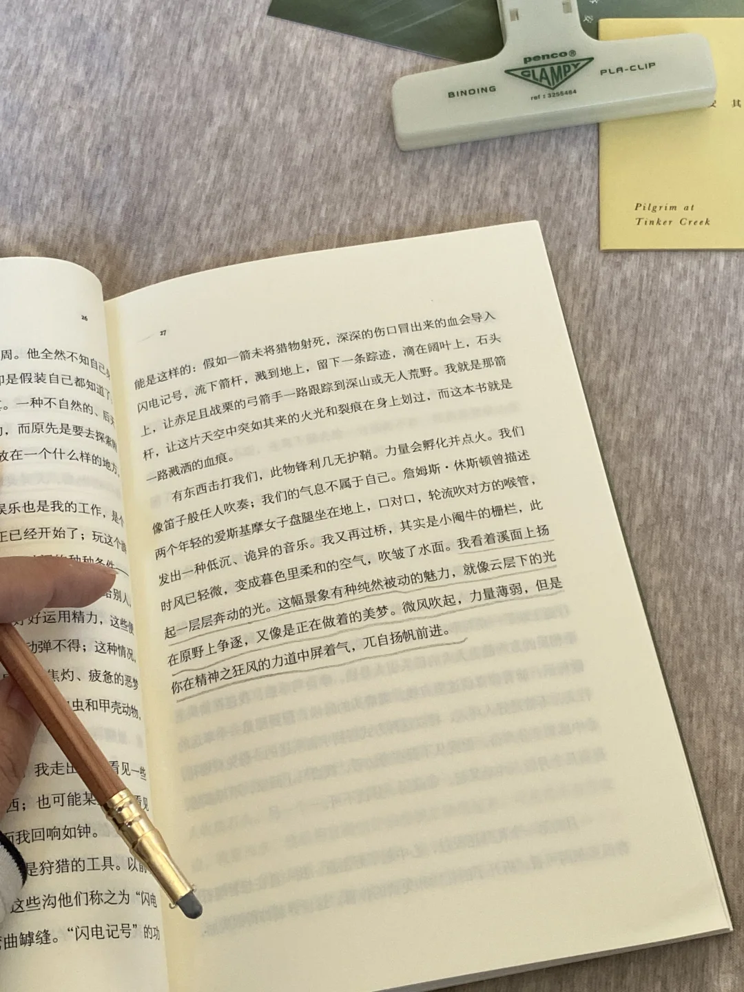 挖到宝了❕她的文字美到令人心颤啊啊啊