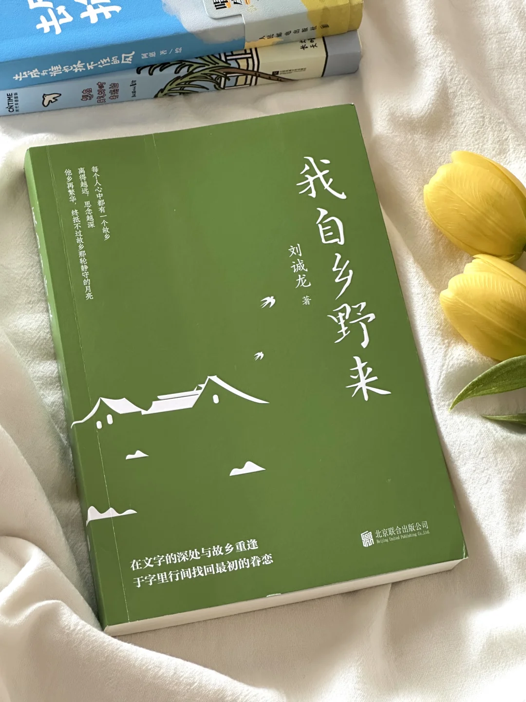 私藏治愈系书单！每一本我都太太爱啦💕！！