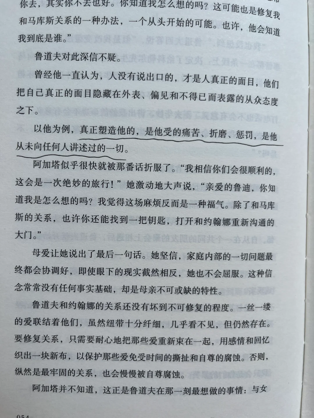 平静不属于人类，属于晒太阳的猫、不动的山。
