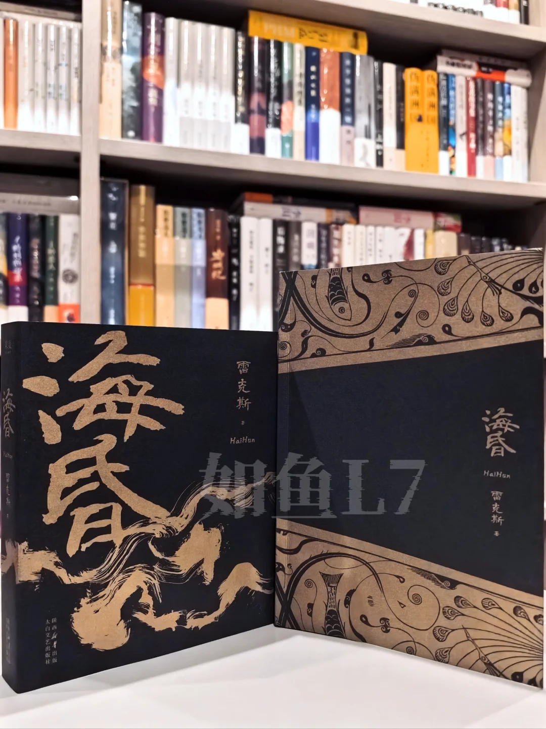 2025年4~5月鱼叔新购阅国产悬疑新作10种