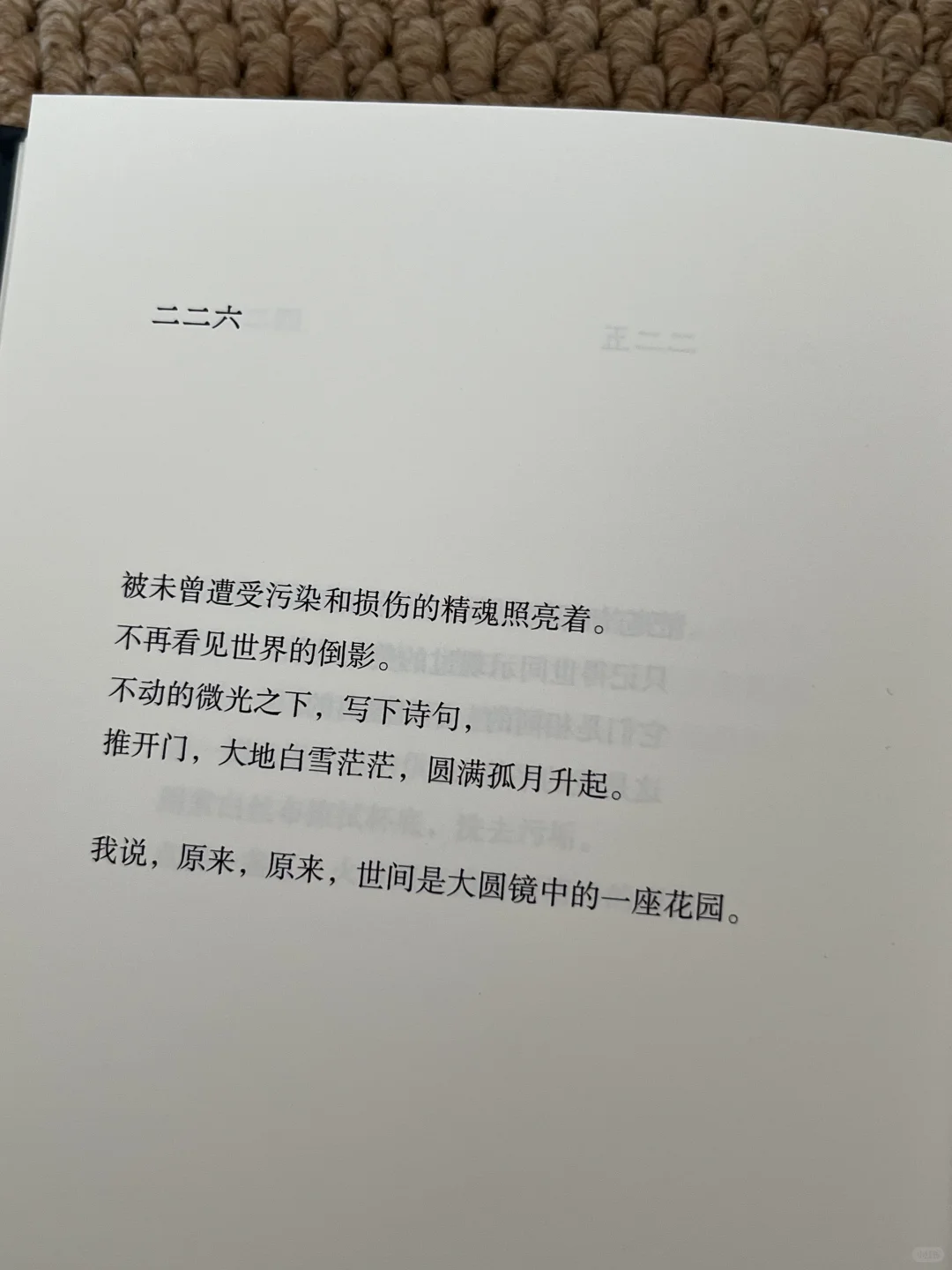 好喜欢这句啊！！瞬间击中了我的灵魂～😭